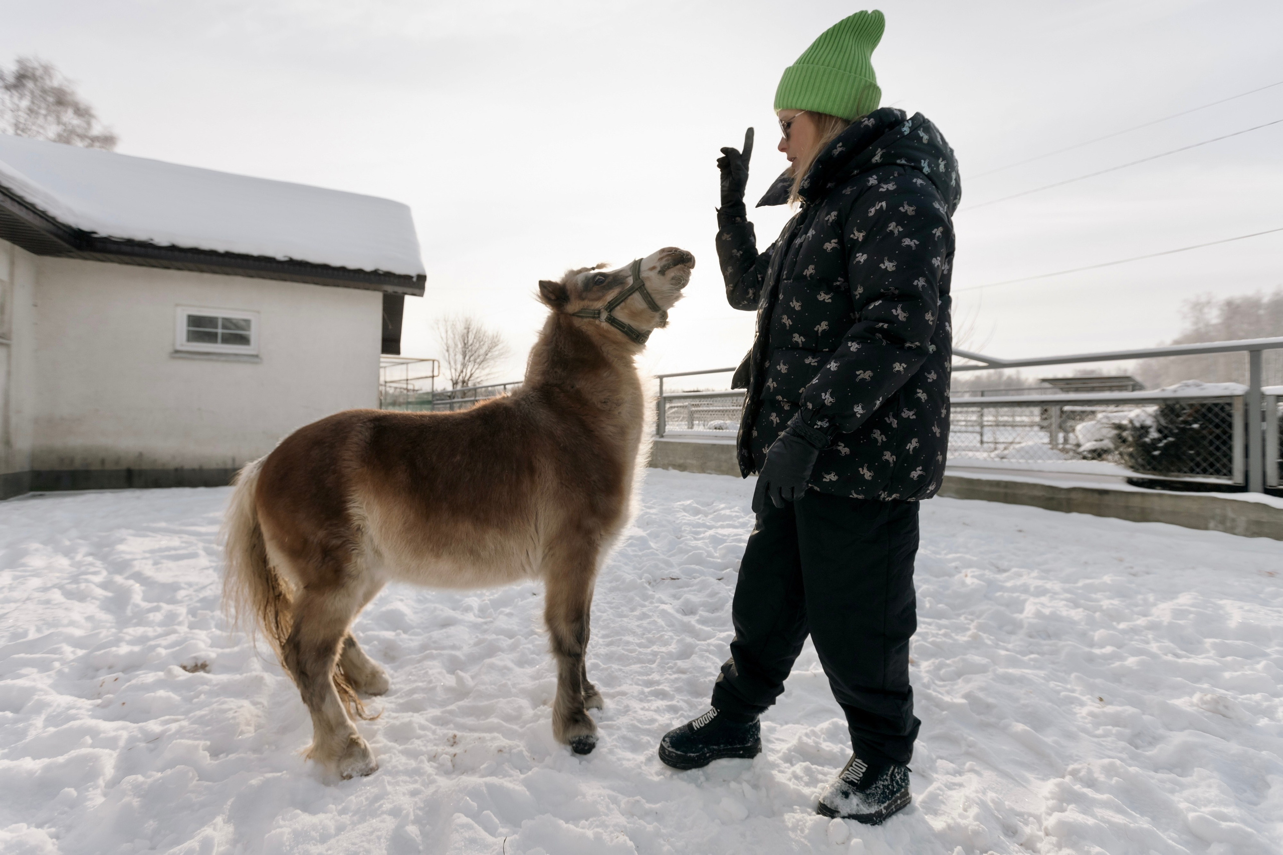 Татьяна Мустякимова. Хозяйка пони-фермы. Репортажный фотограф Наталья Лапцевич