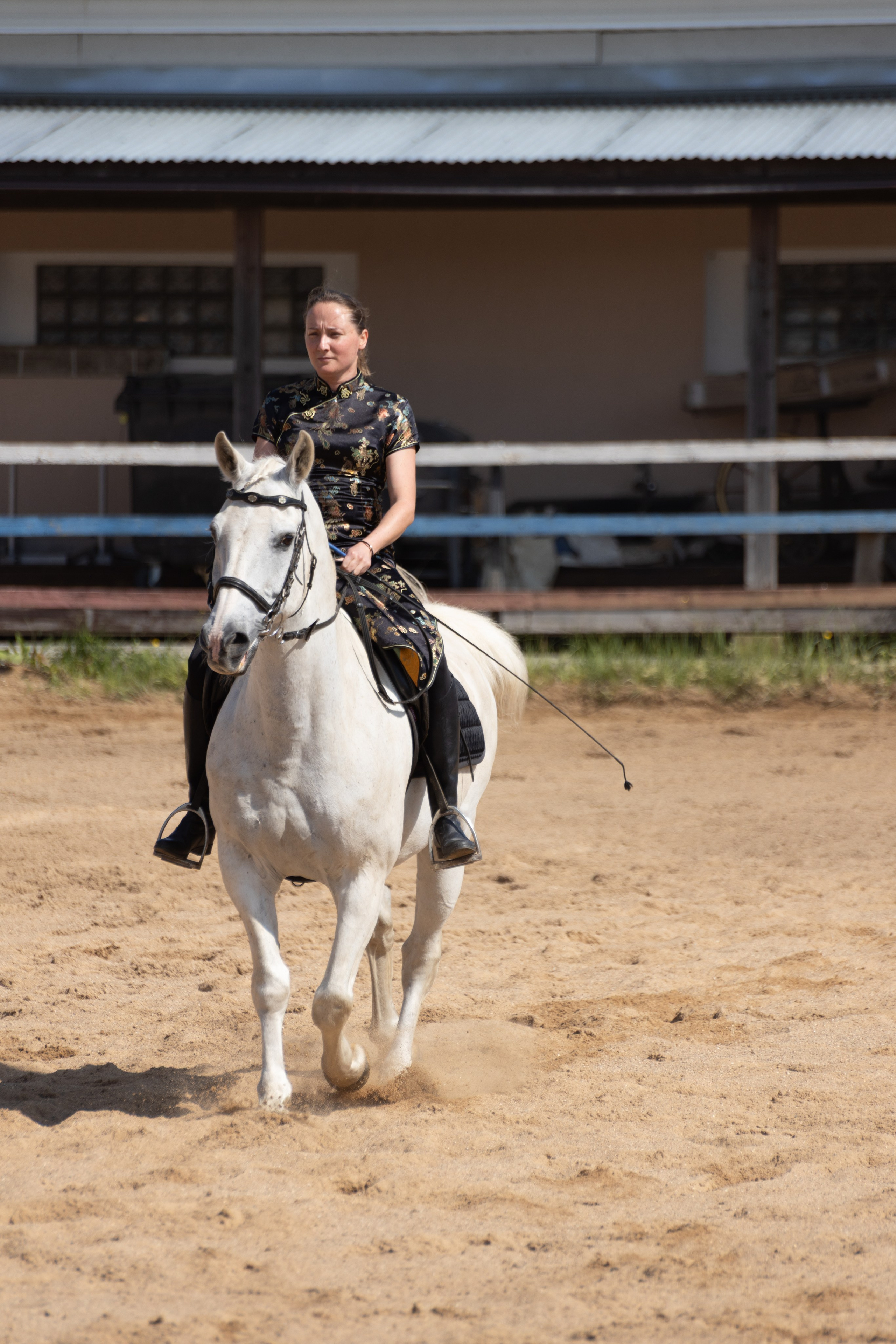 Конюшня. Фотограф в Москве и Истре