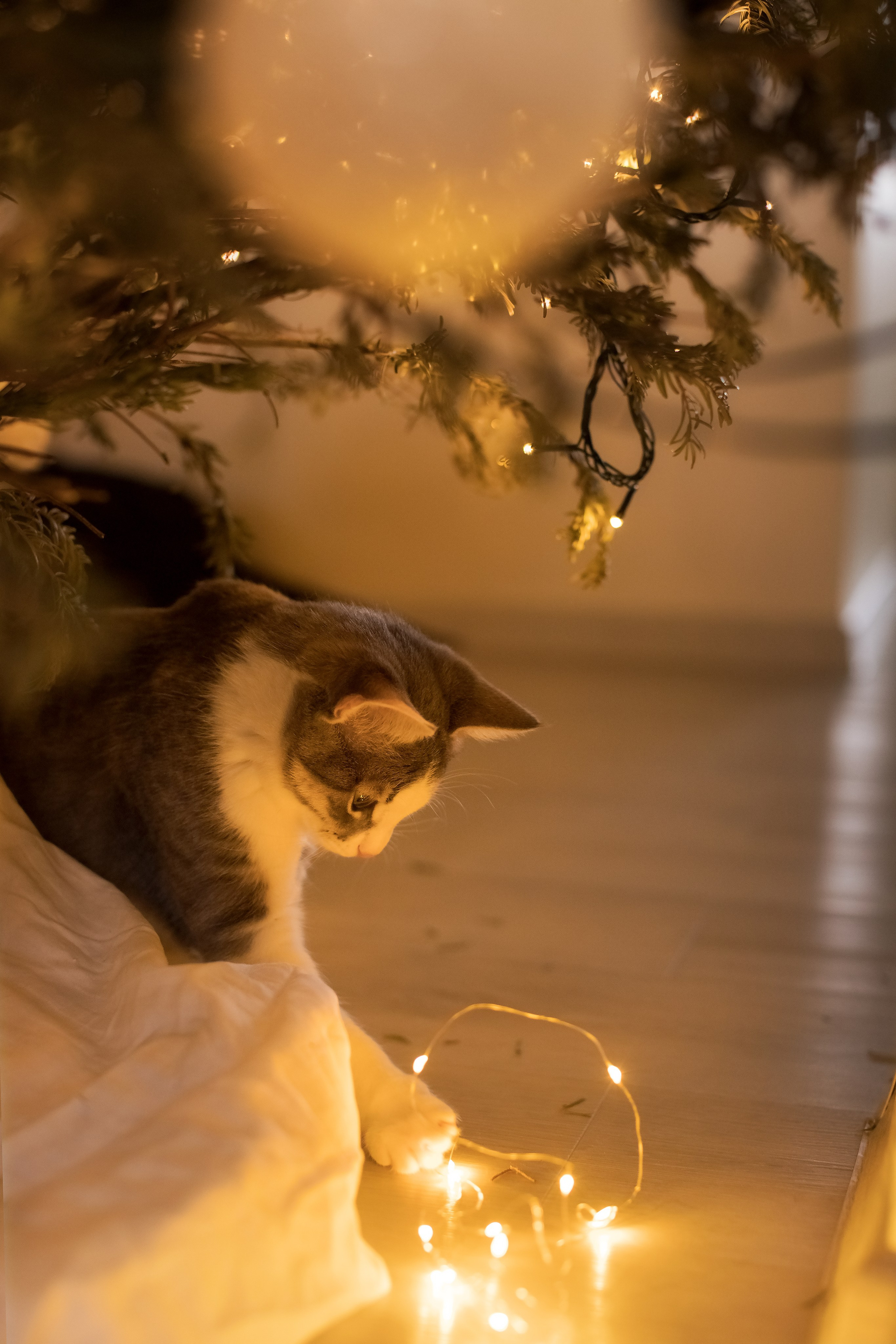 Теплое Рождество. Семейный и детский фотограф в Саратове Полина Коткина