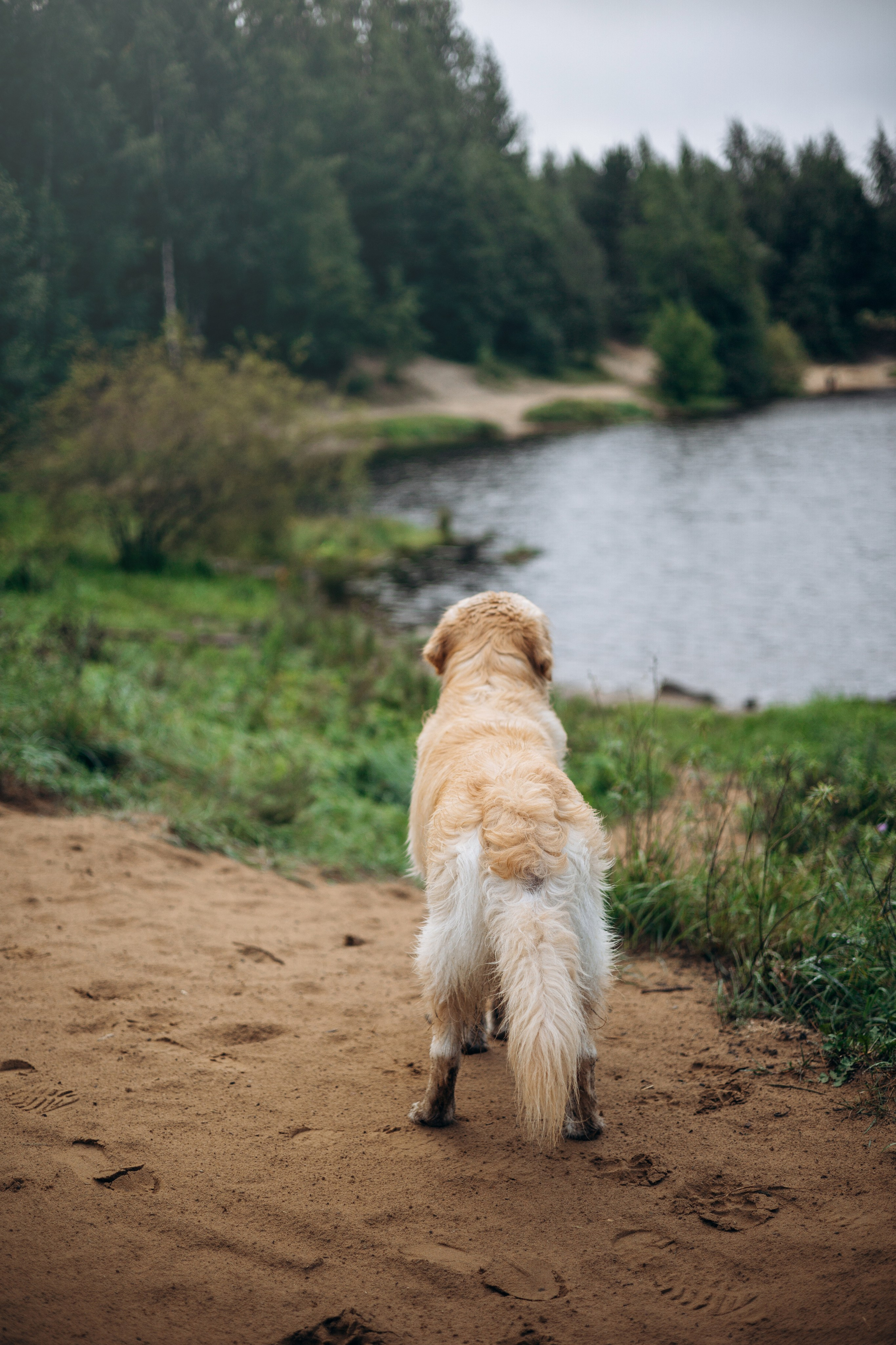 Лёва и его семья. Фотограф — Анималист | Санкт-Петербург