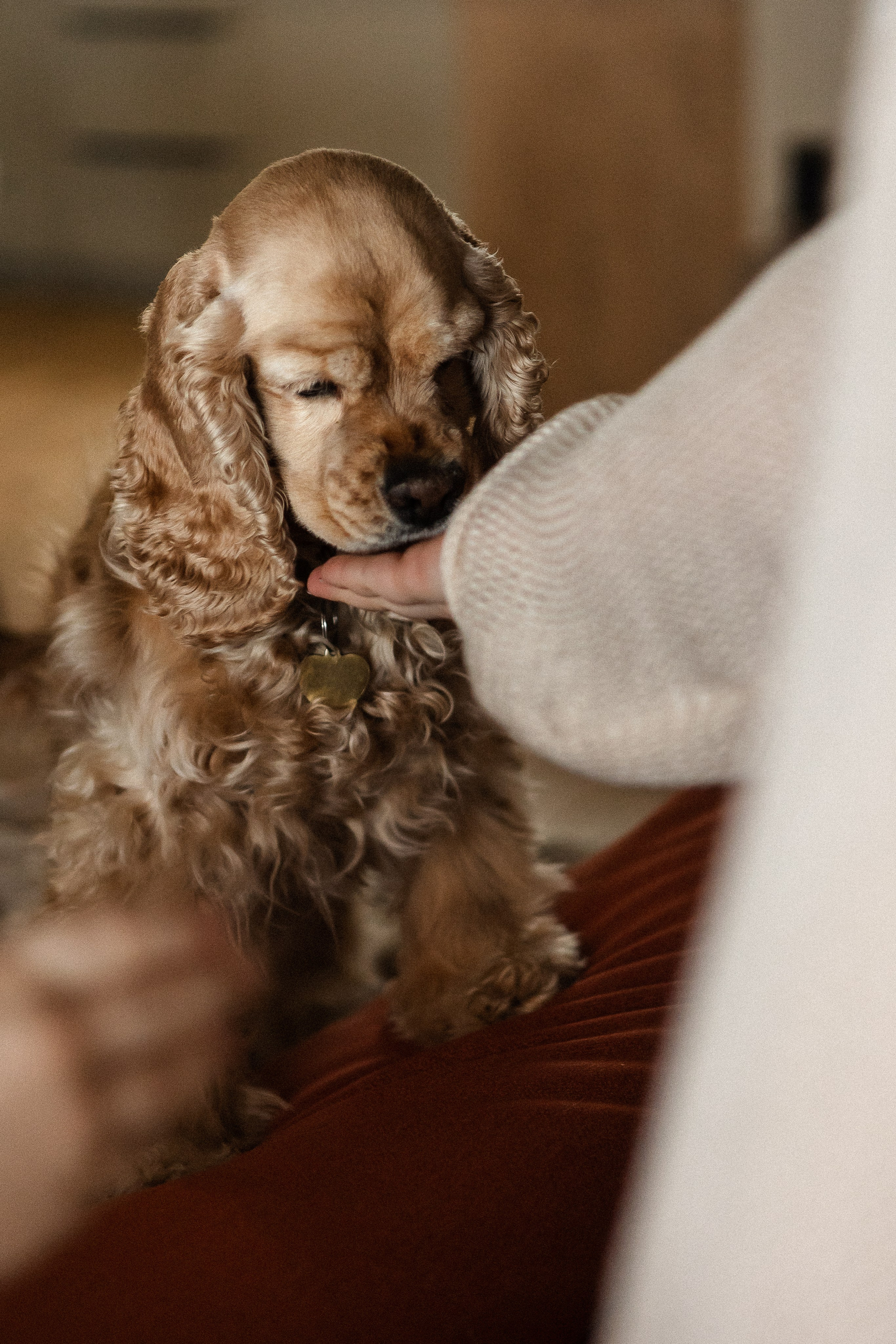Счастливы вместе. Семейный фотограф в Нижнем Новгороде Доронина Юлия
