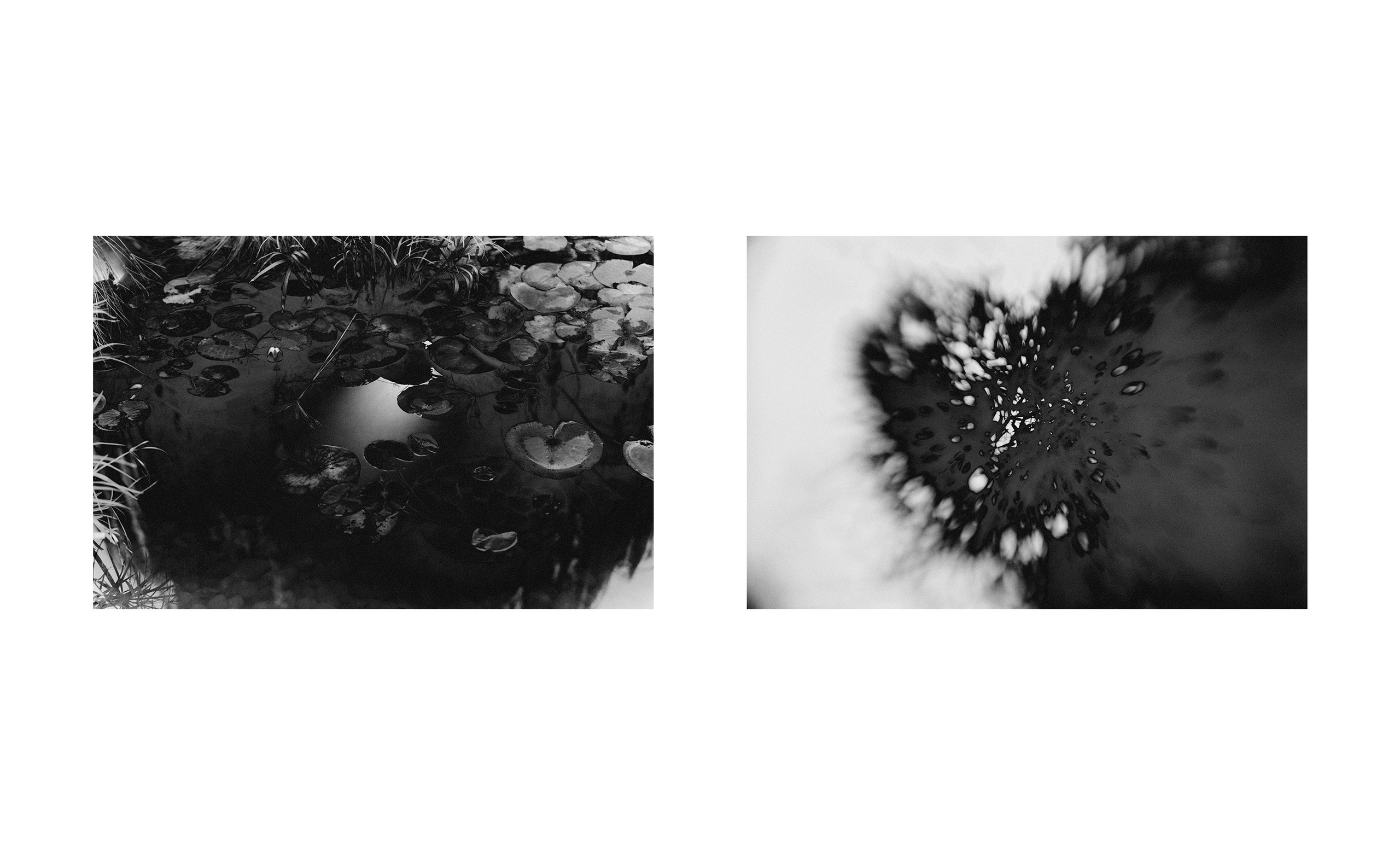 STREET. Salien Adare