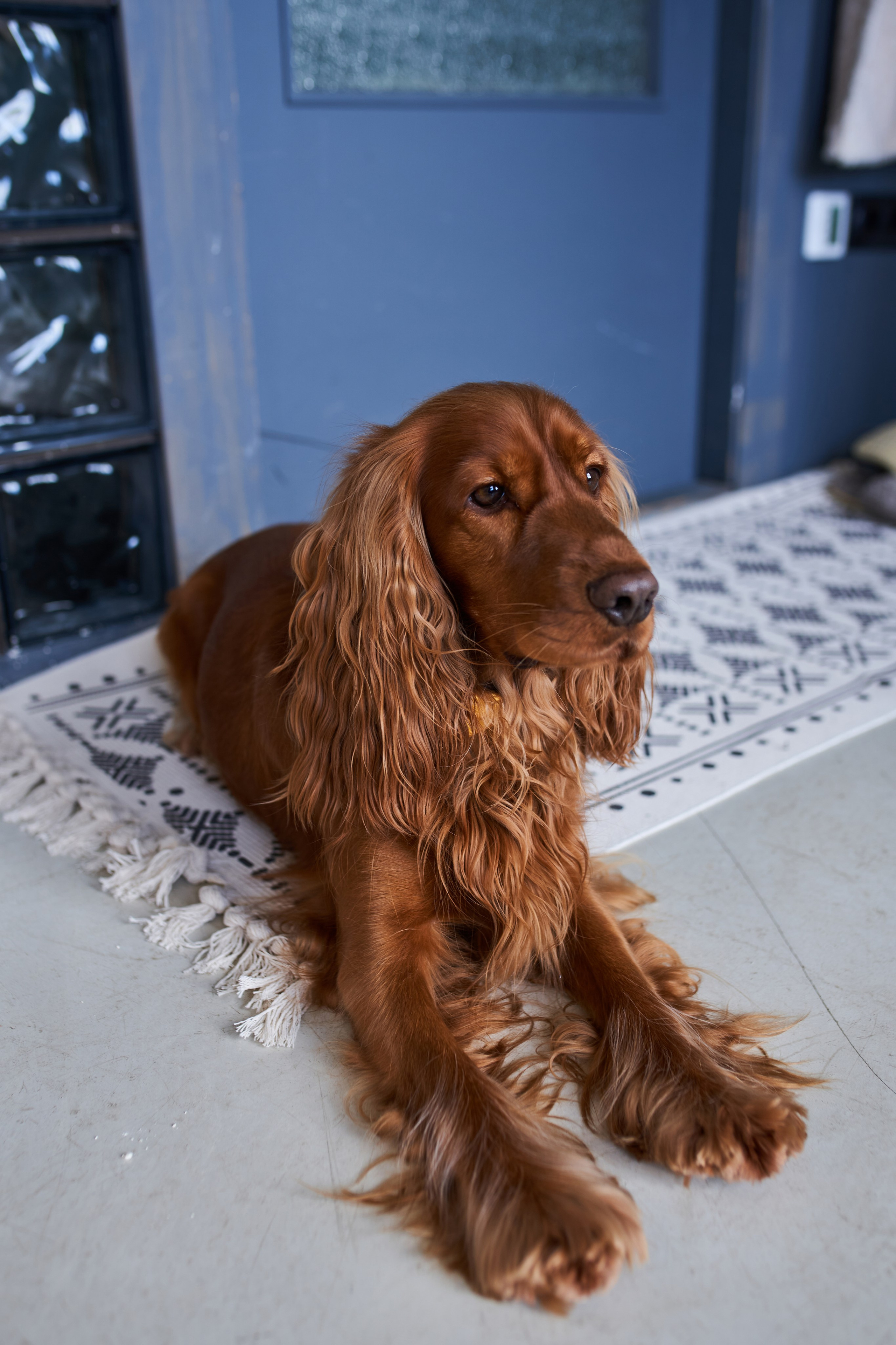 Галя и Гриша. Фотограф Александра