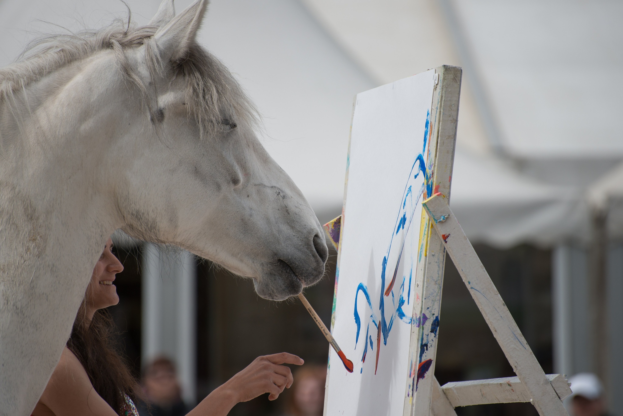 Эквирос, Москва. Конный фотограф в Саратове Юлия Иванова