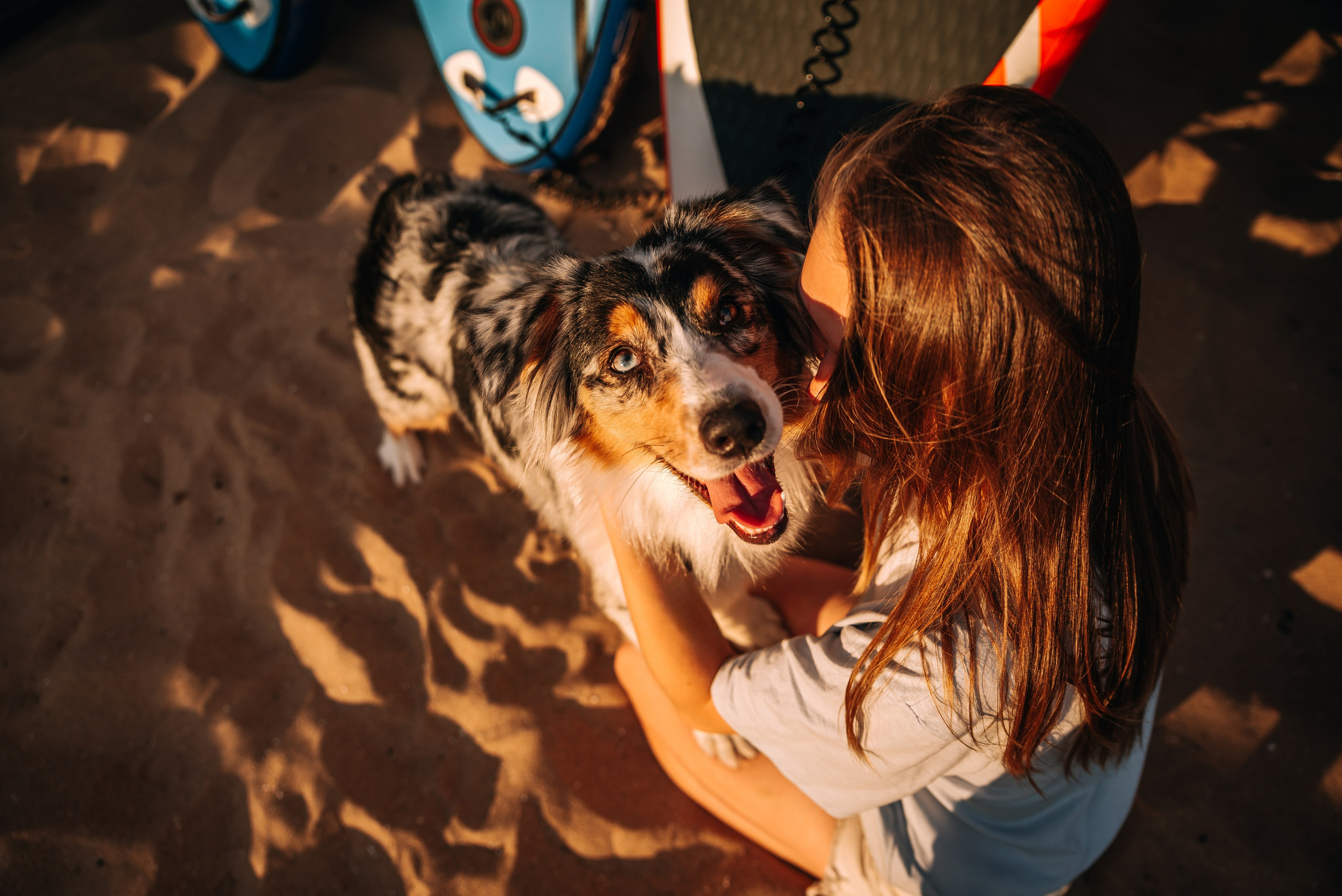 No Bad Days. Главная