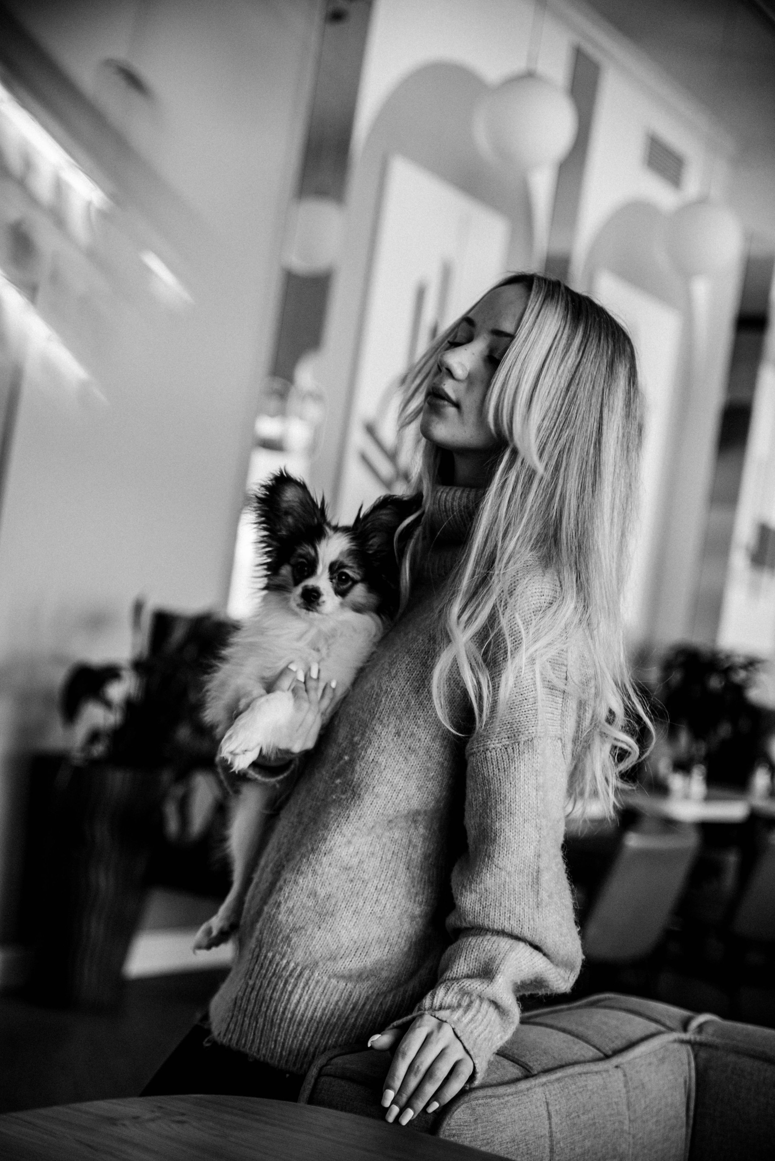 Настя, Света и Папийон Луней. Главная