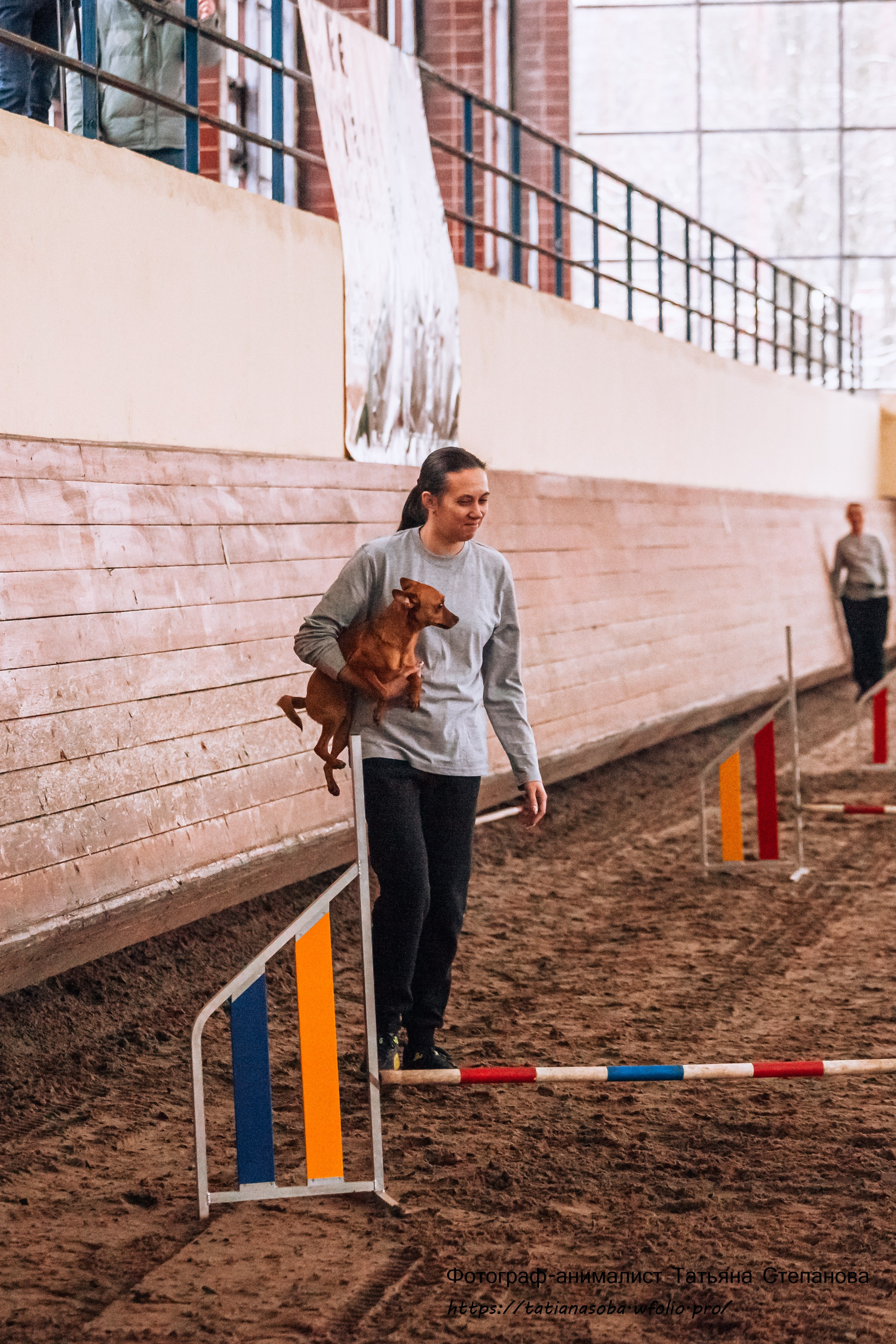 Соревнования по Аджилити 25.02.2024. Фотограф-анималист Татьяна Степанова