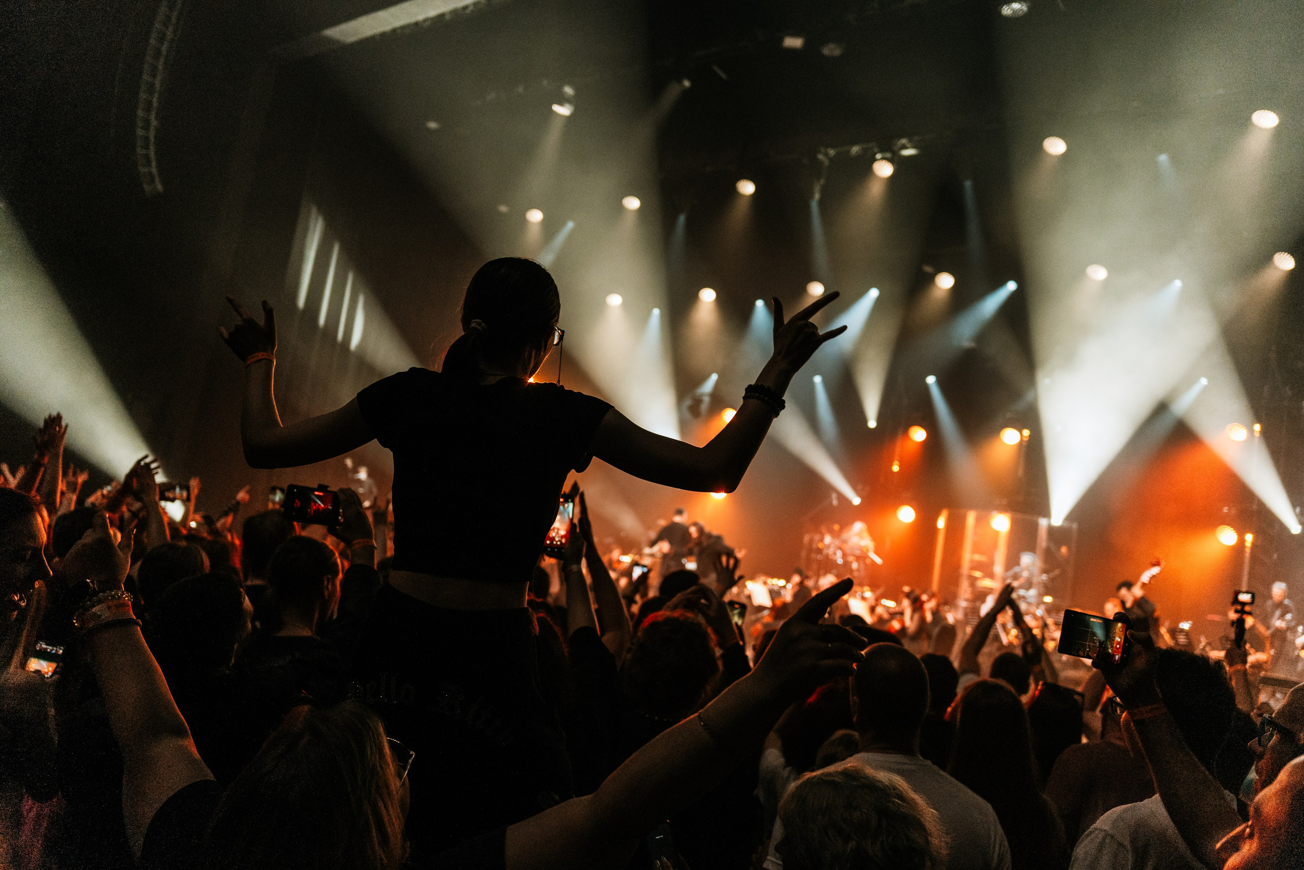 Алексей Горшенёв. Магия музыки в кадре: Концертная Фотография