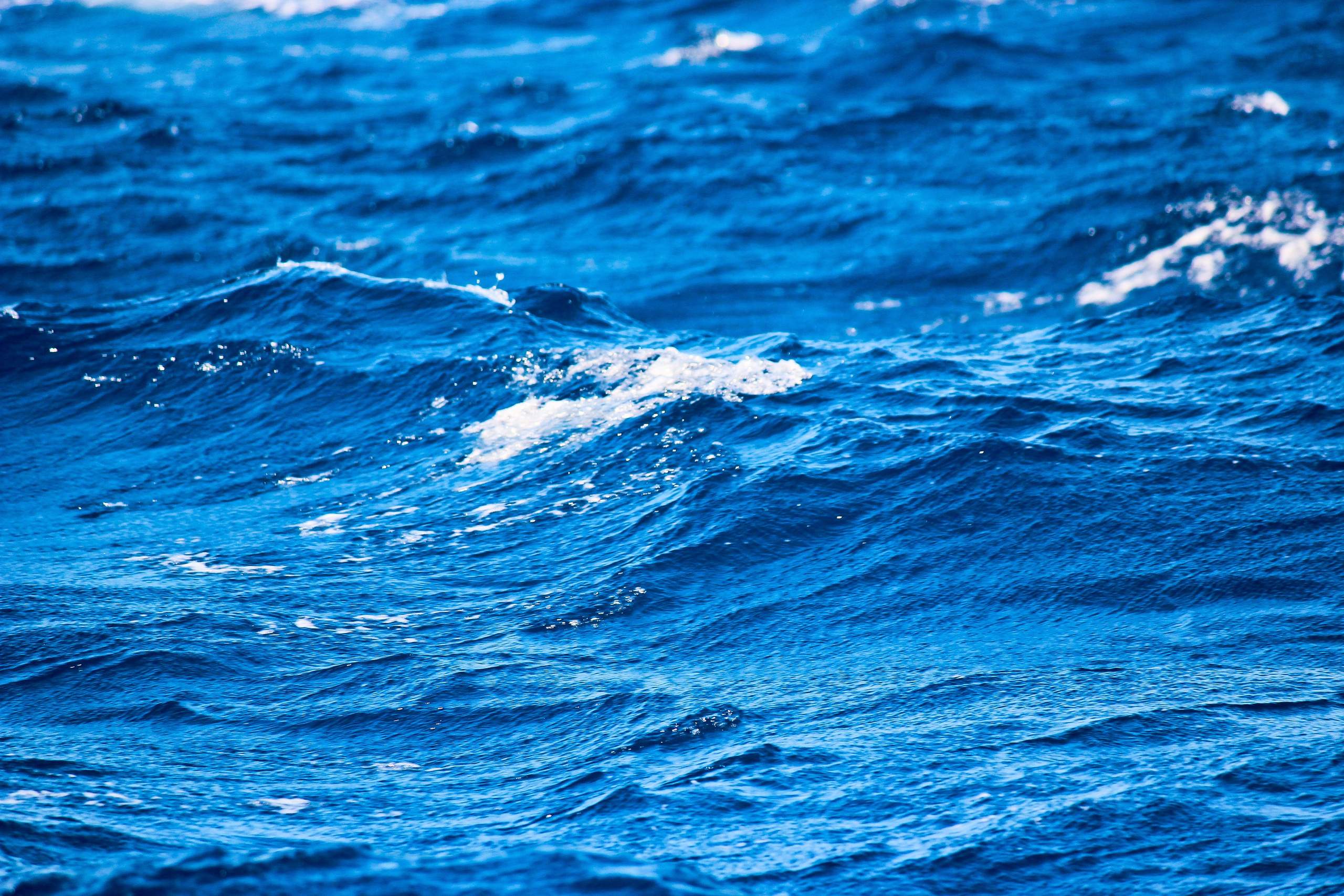 Хорватия: Долорес. Дарья Письменюк / Darya Leitstern — фотограф, музыкант, журналист, путешественник