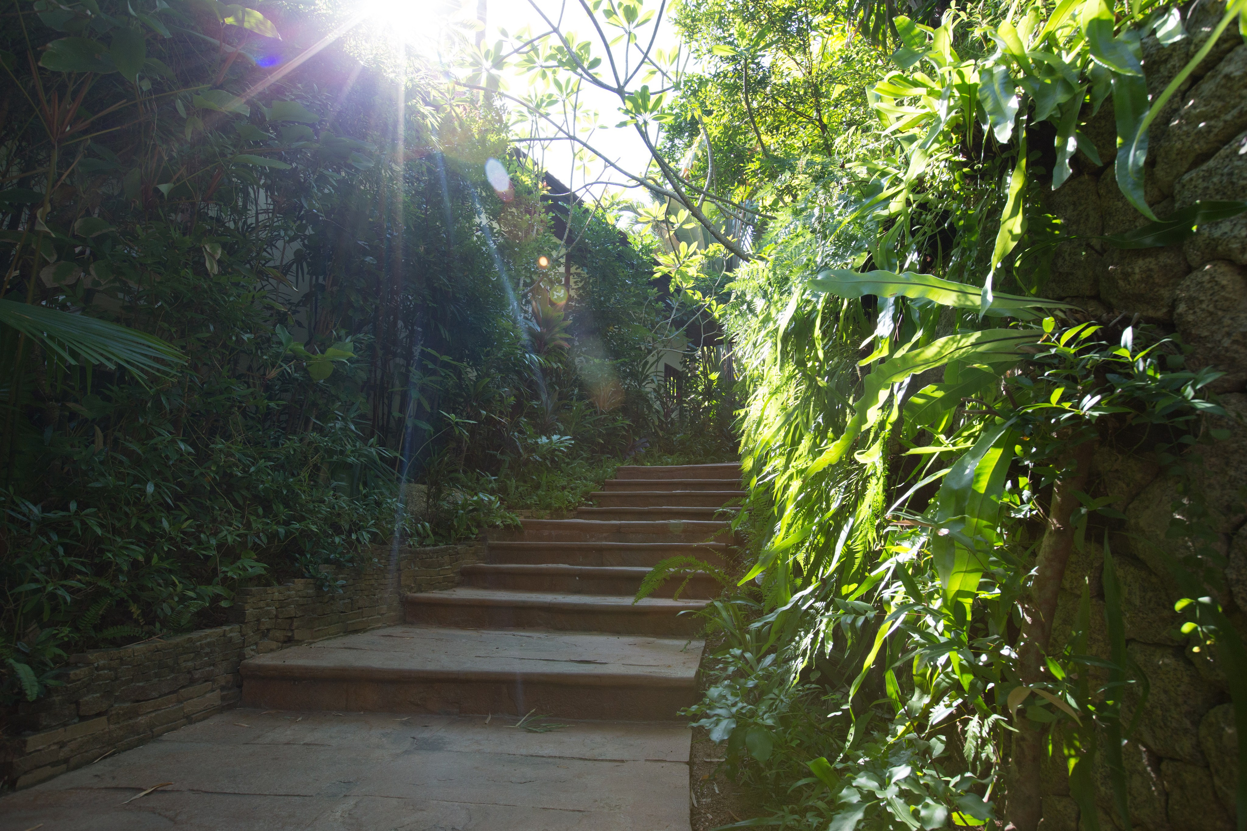 Фото Тайланда. Студия Максима Белослюдцева