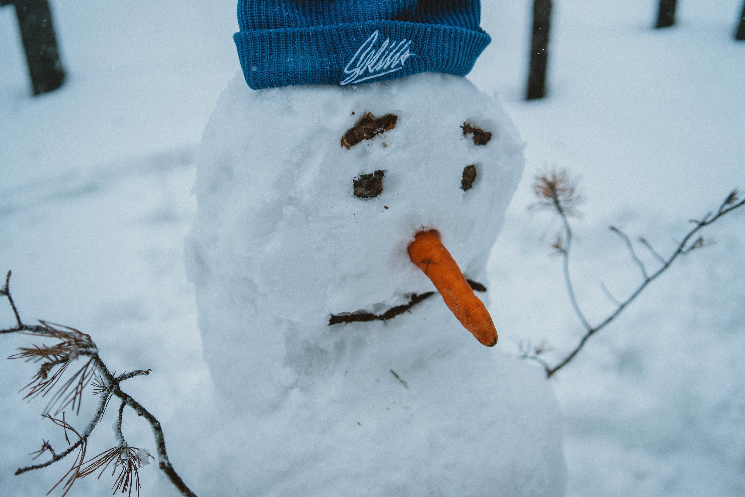 Зимняя прогулка