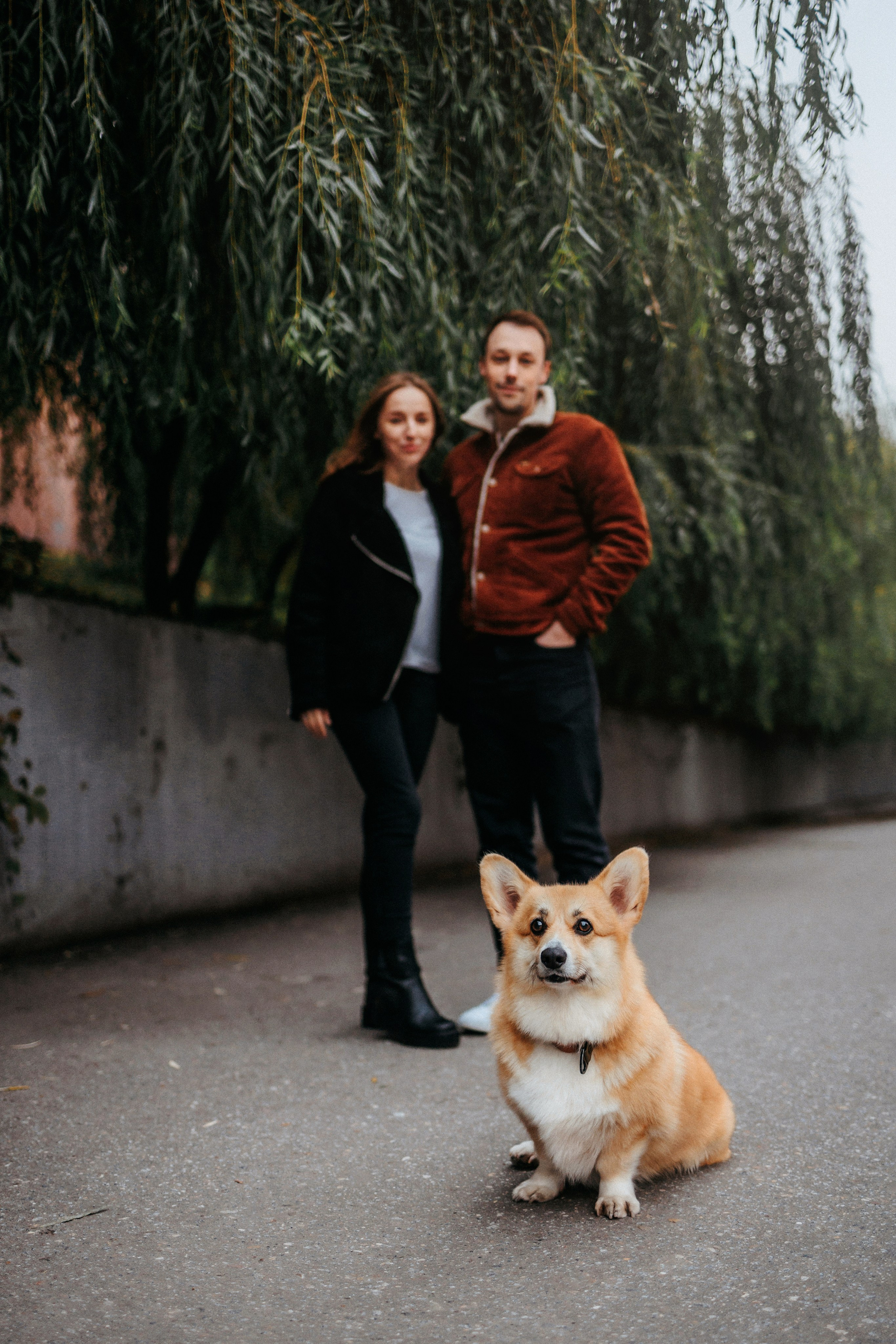 Вера, Саша и Муна. Фотограф-анималист Елена Радченко, Москва