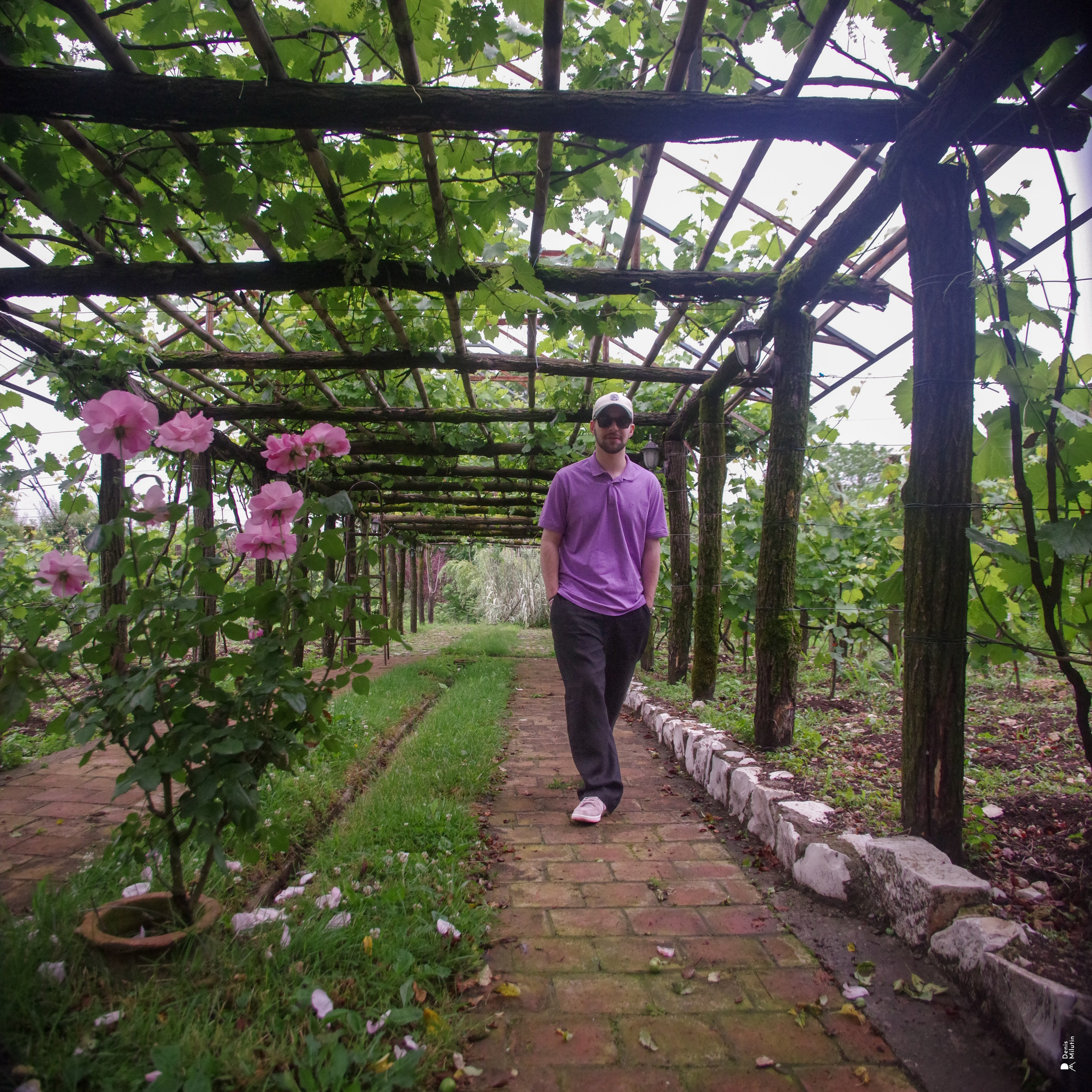 Хони. Портретный фотограф Денис Милютин