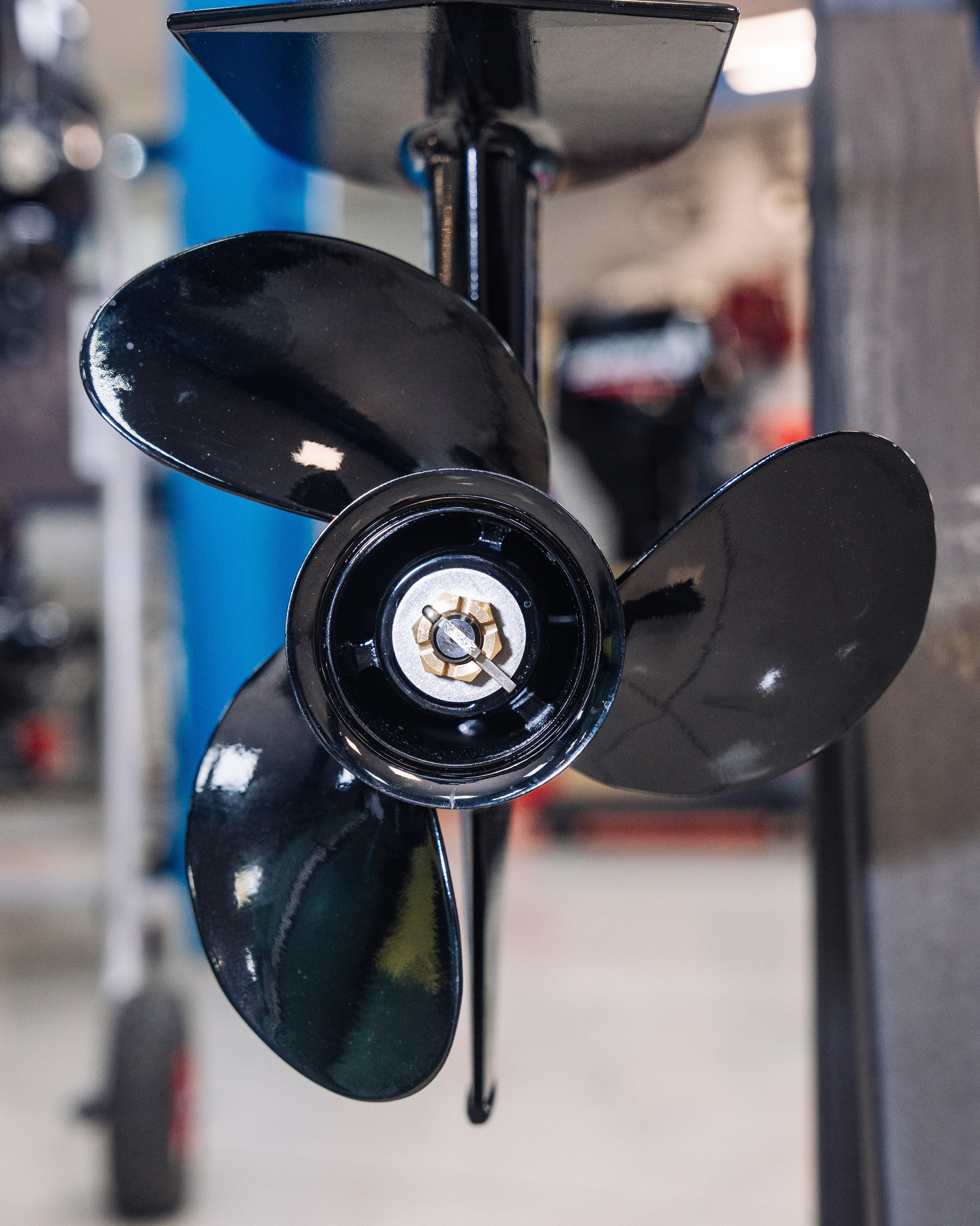 GLADIATOR. Фотограф Хабаровск