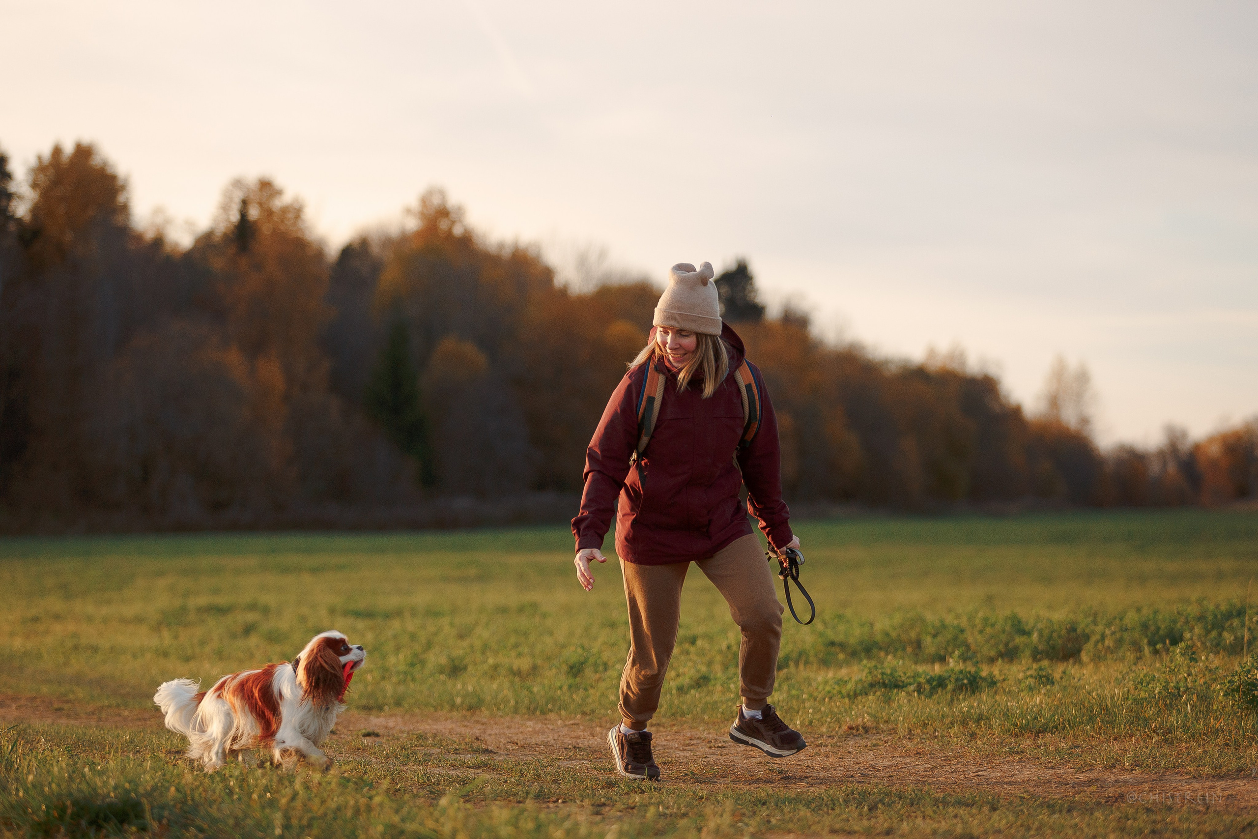 Октябрьский закат в полях. Алина и Лео. Фотограф-анималист Наталия Чистюхина в г. Сосновый Бор и ЛО