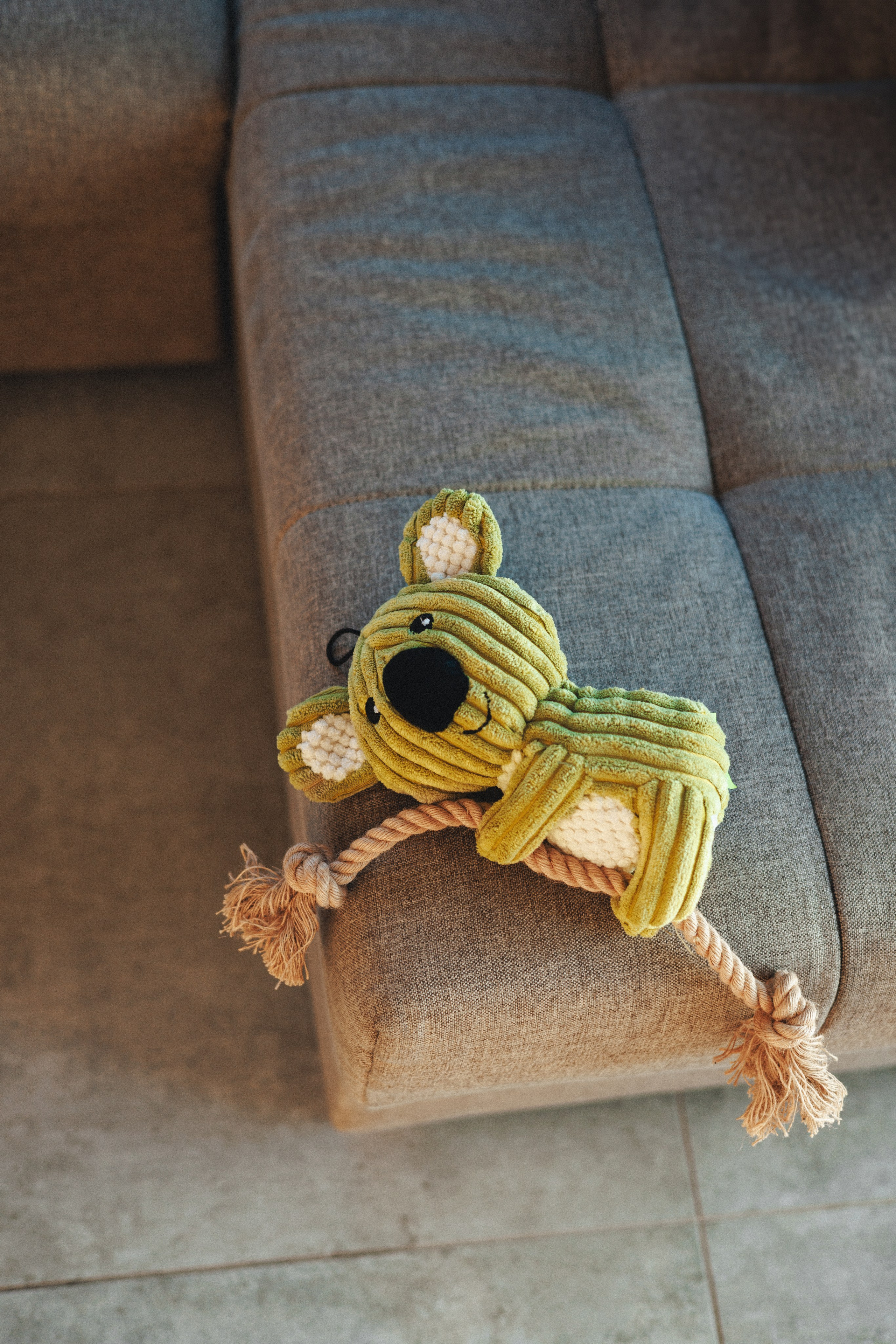 M-Pets. Фотограф анималист Осипчикова Мария