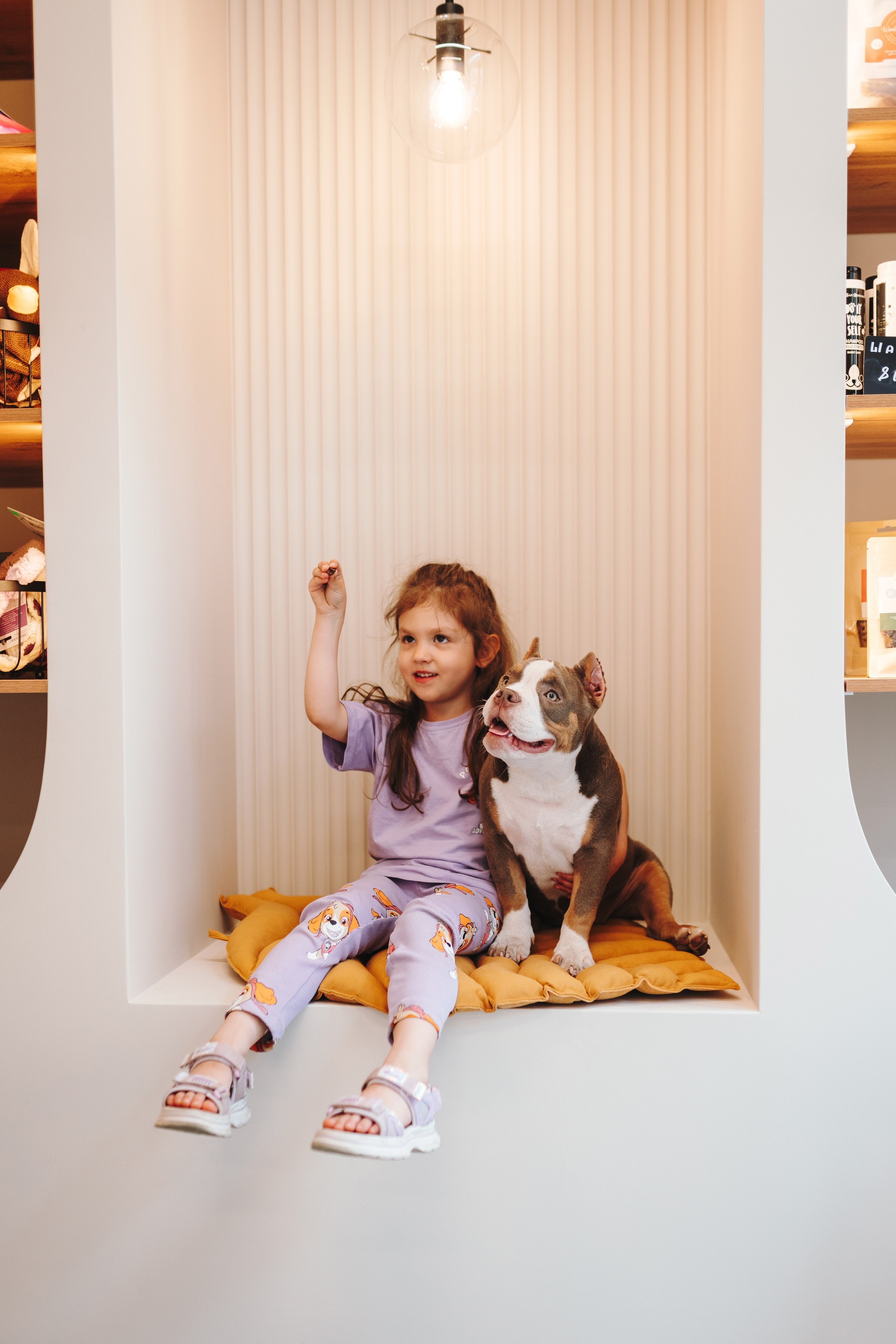 Груминг-салон. Фотограф анималист Осипчикова Мария