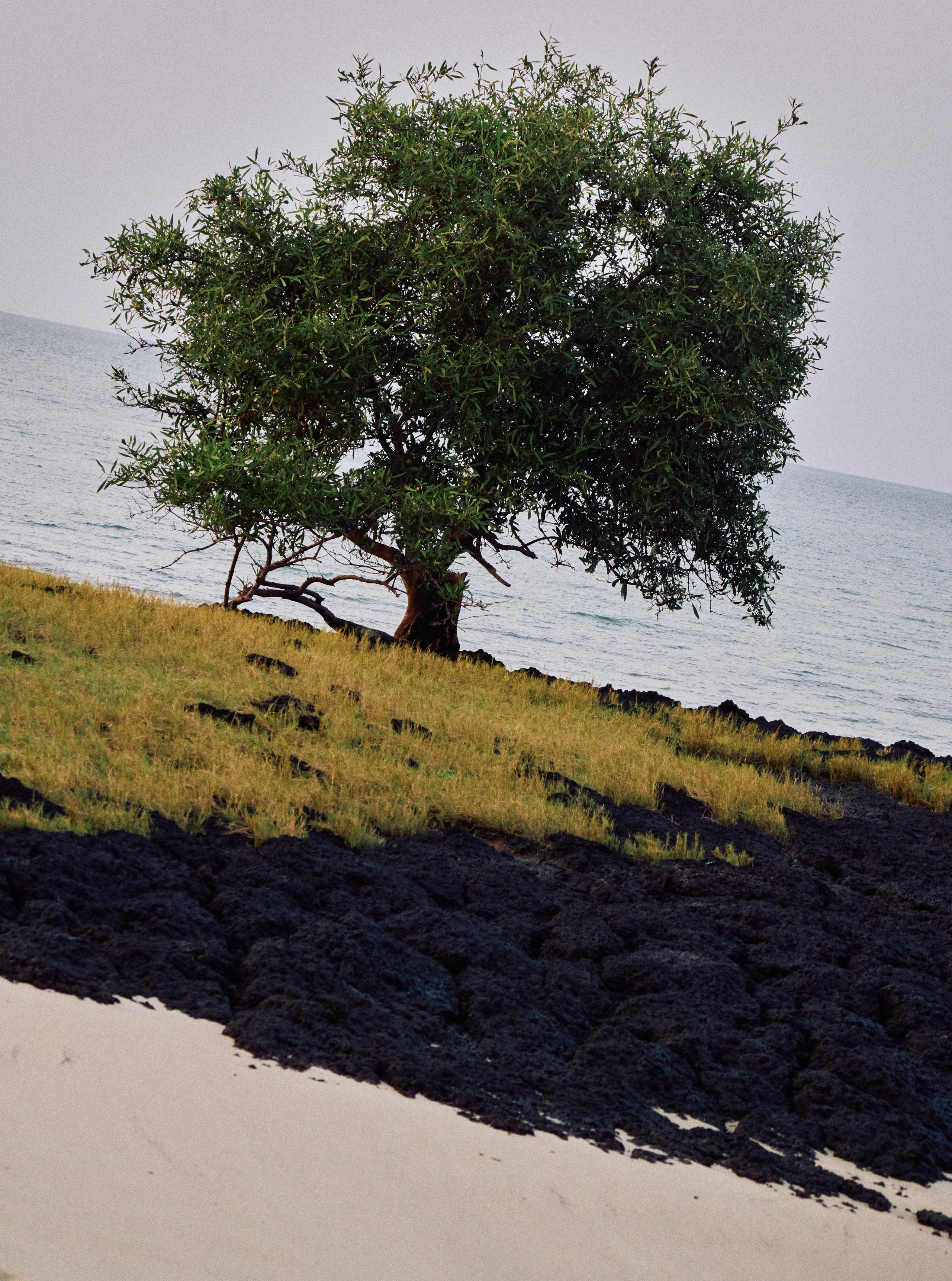 Guinea-Bissau. See the moment and catche. commercial and reportage