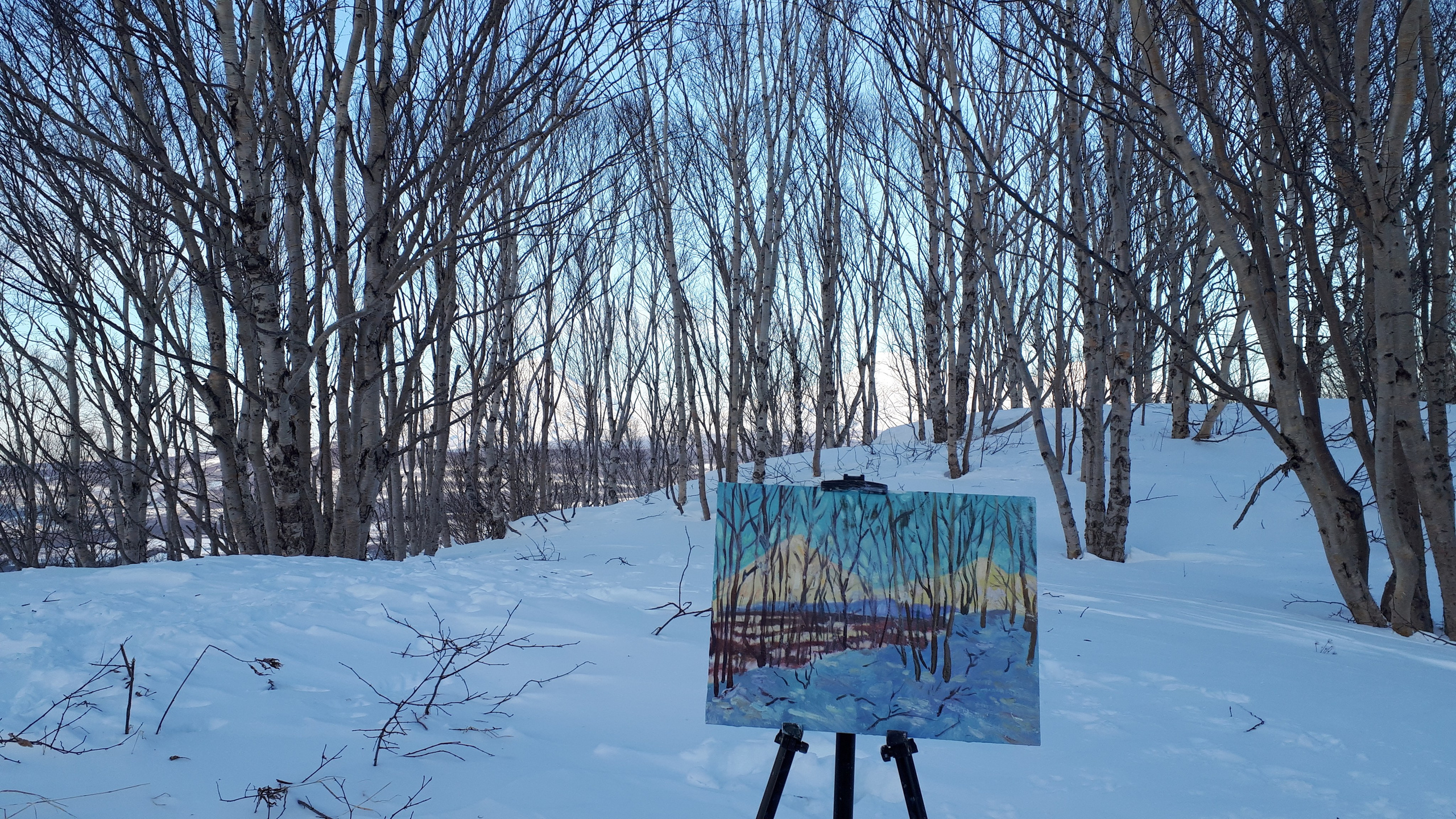 Этюды Камчатка. Художник и гид по Камчатке Евгений Чайкин