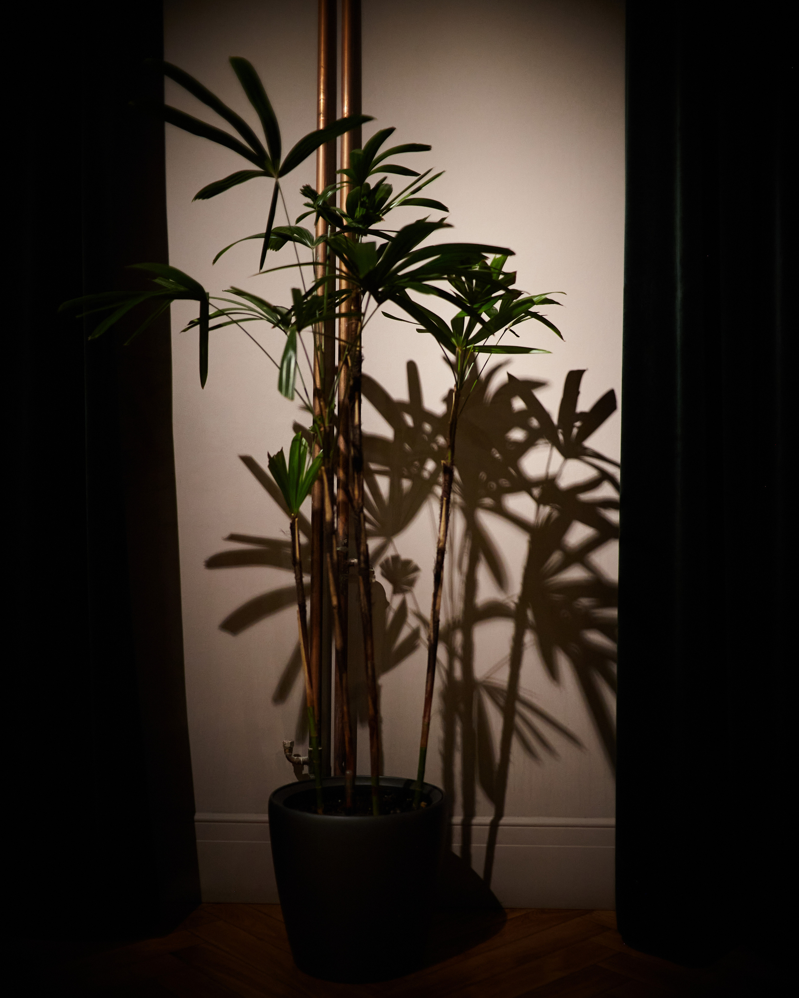 DEAD POETS. Фотограф в Санкт-Петербурге Лазарев Евгений