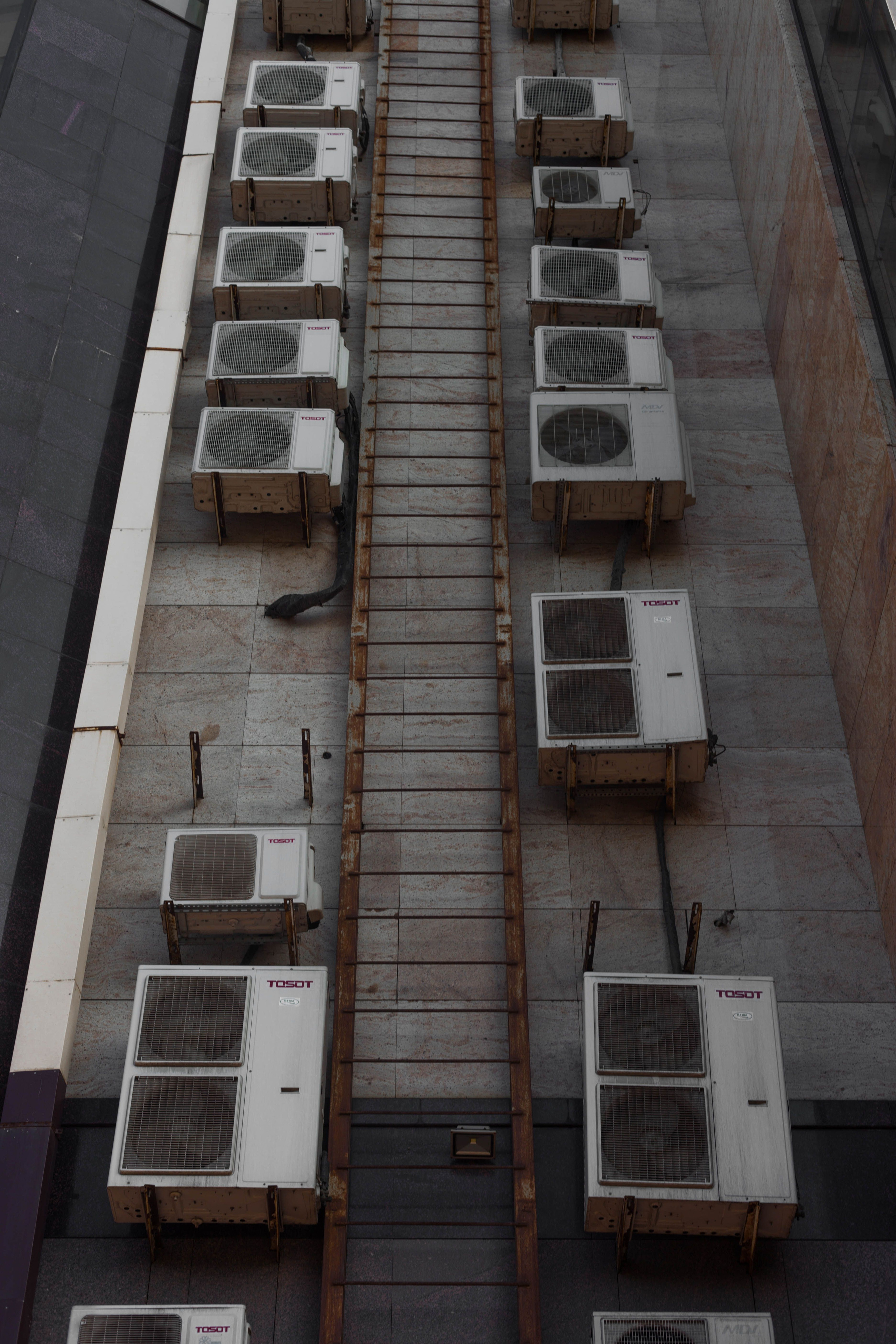 УЛИЧНАЯ ФОТОГРАФИЯ (АРХИВ). Фотограф в Санкт-Петербурге Лазарев Евгений