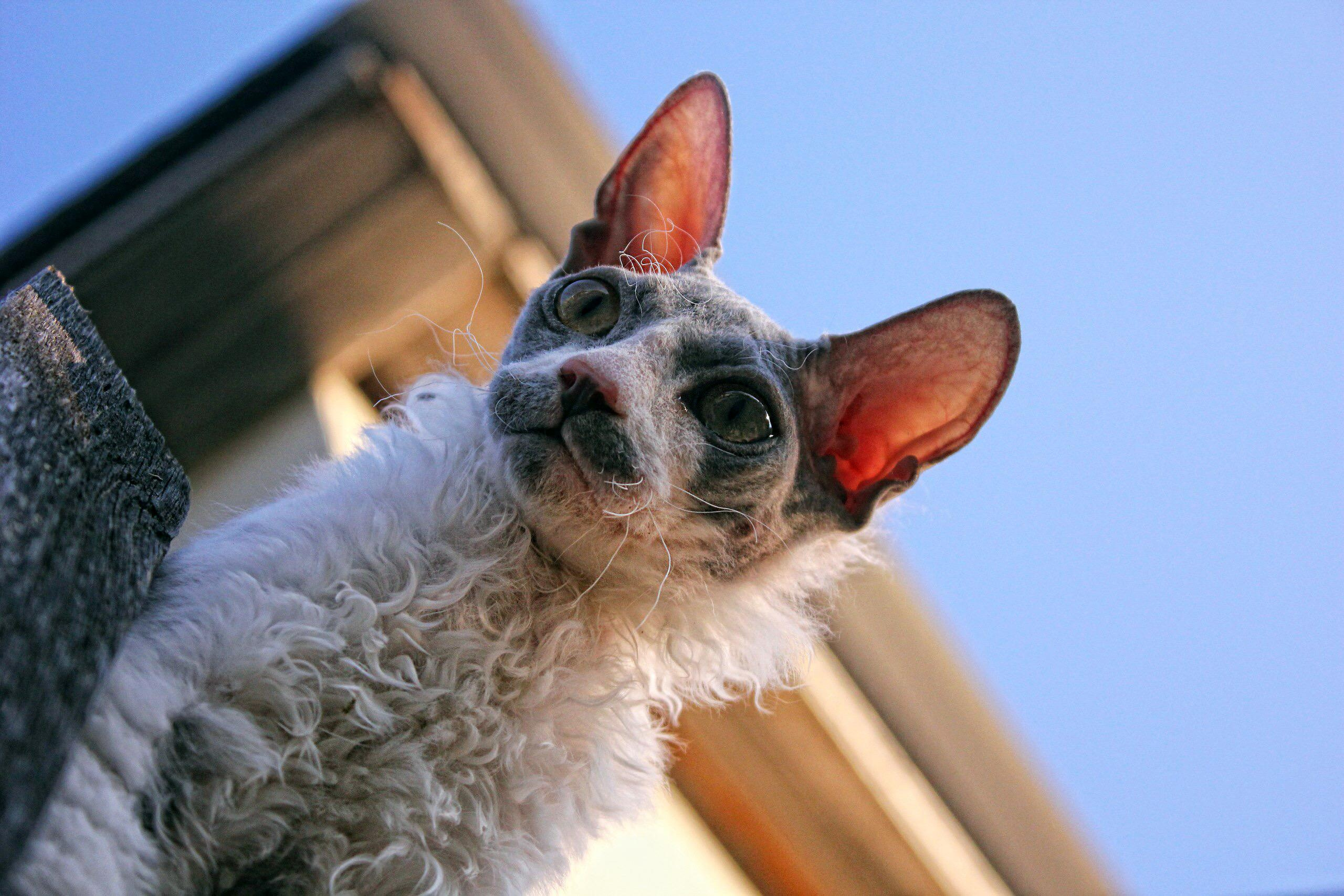 Фотограф в Санкт-Петербурге Лазарев Евгений