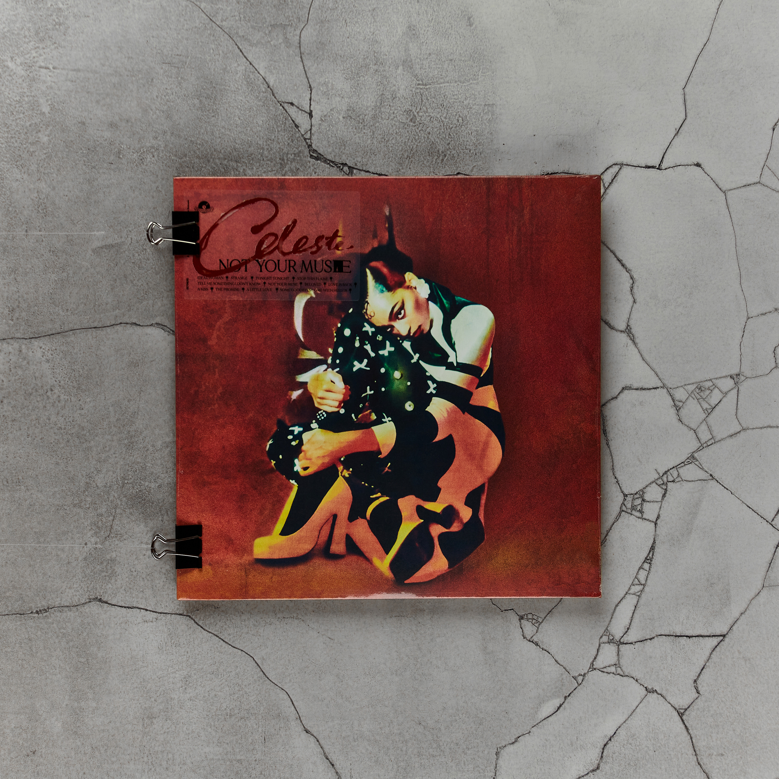 ВИНИЛОВЫЕ ПЛАСТИНКИ. Фотограф в Санкт-Петербурге Лазарев Евгений