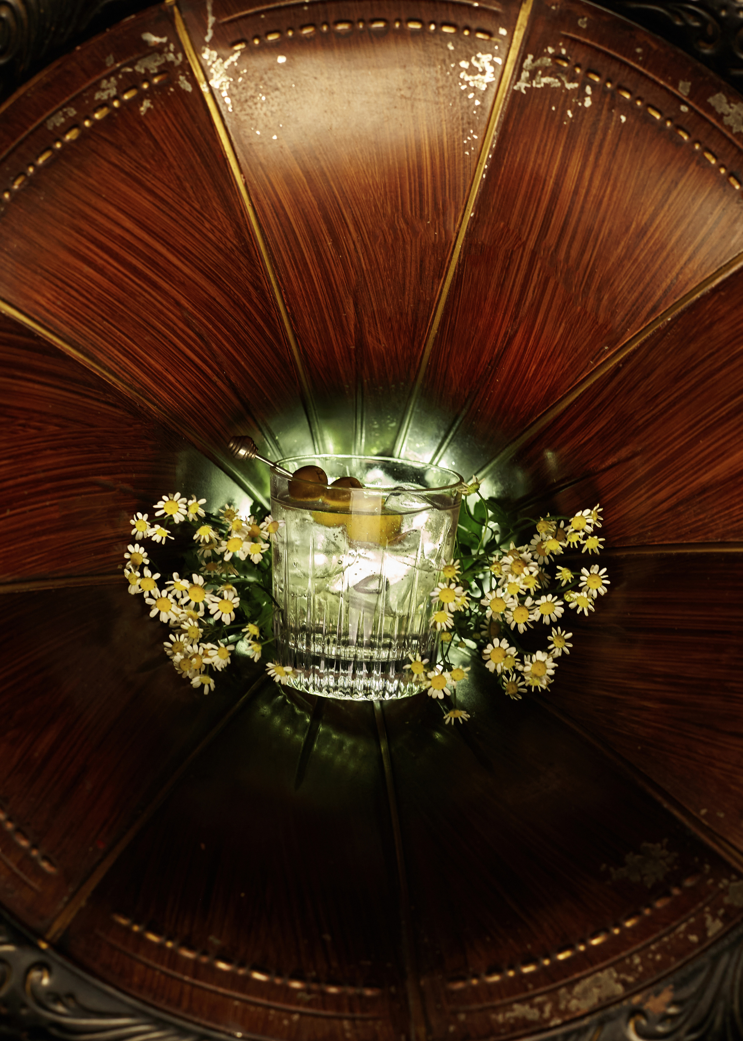 МАВЕРИК. Фотограф в Санкт-Петербурге Лазарев Евгений