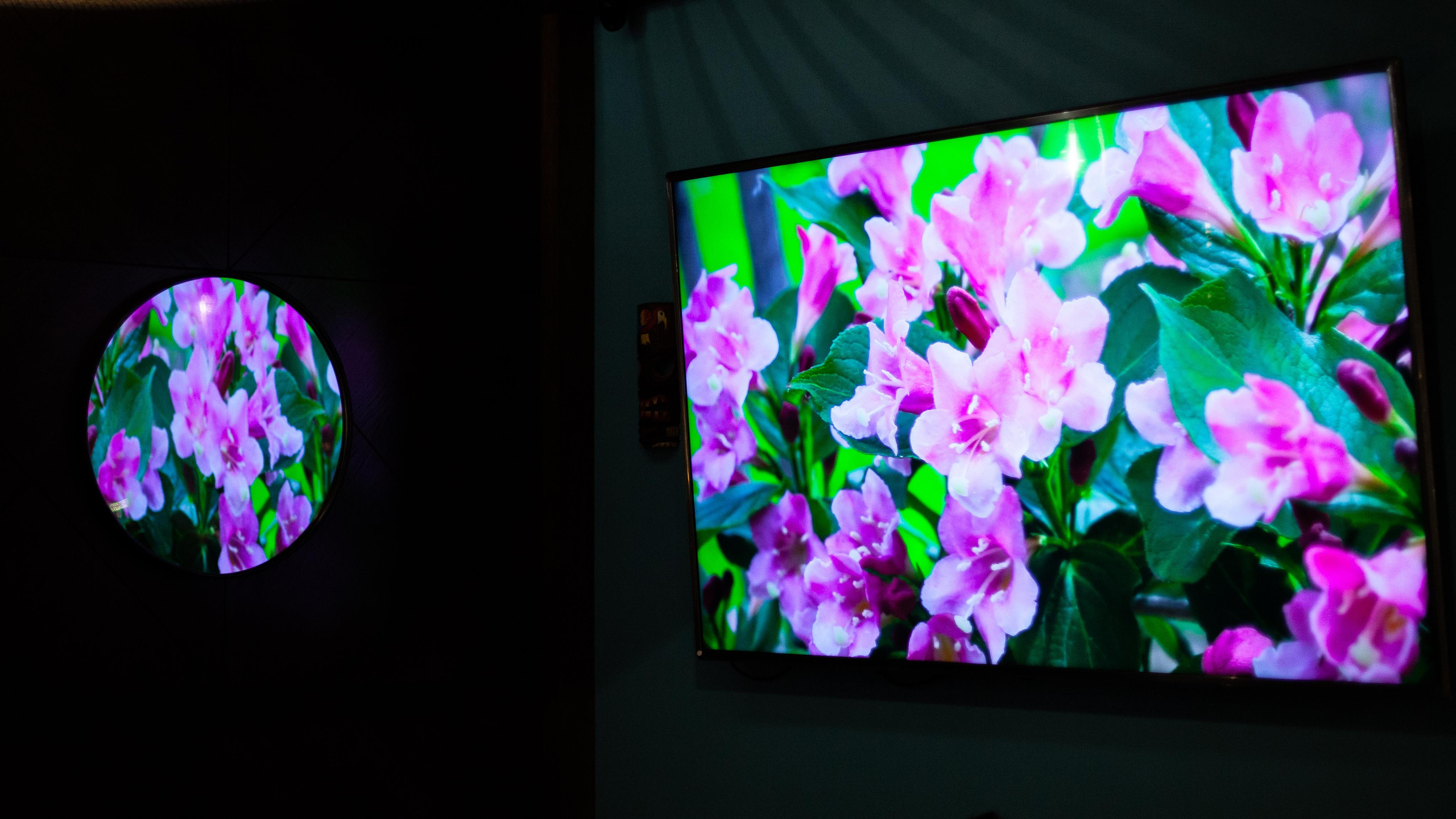 MAUI. Фотограф в Санкт-Петербурге Лазарев Евгений