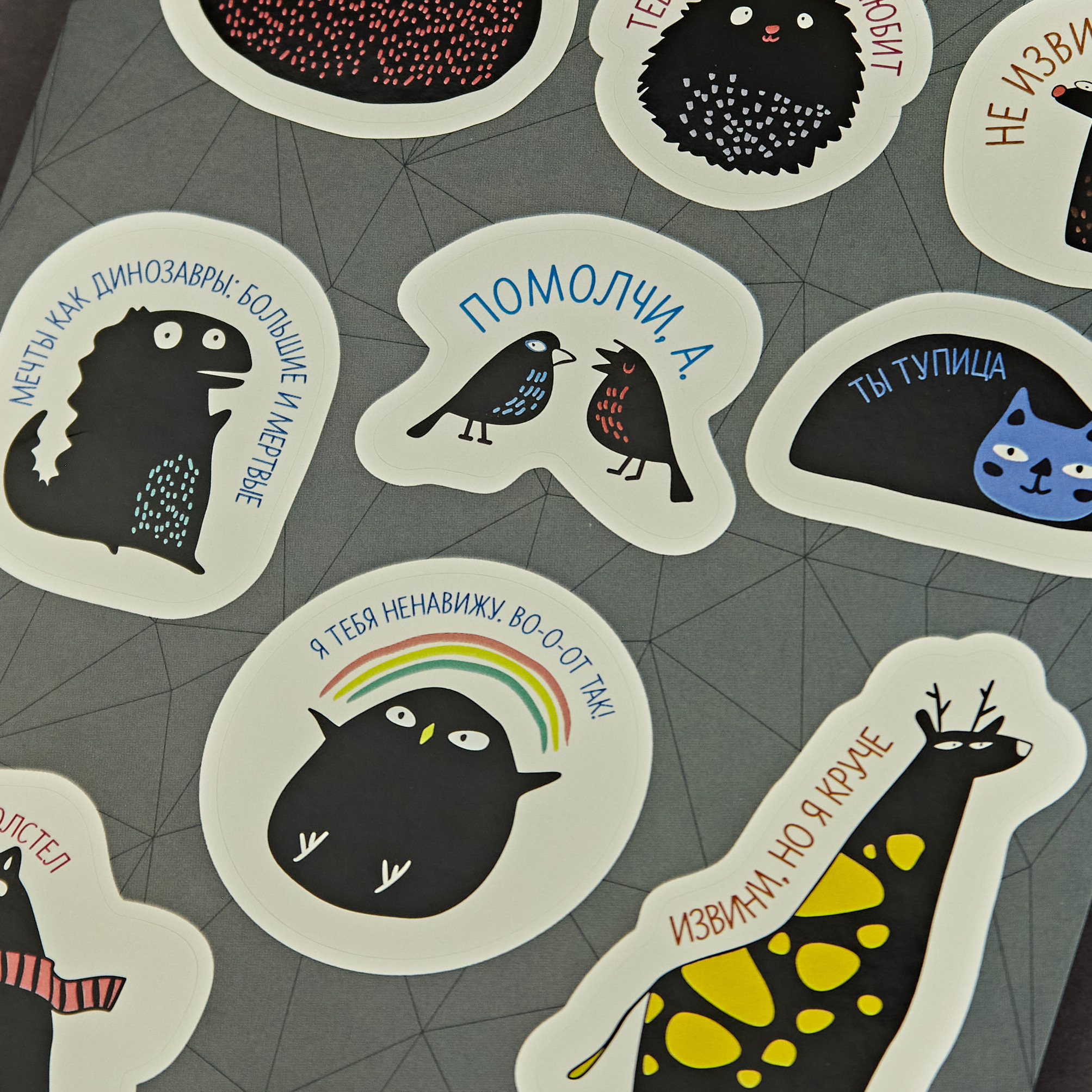 СТИКЕРЫ. Фотограф в Санкт-Петербурге Лазарев Евгений