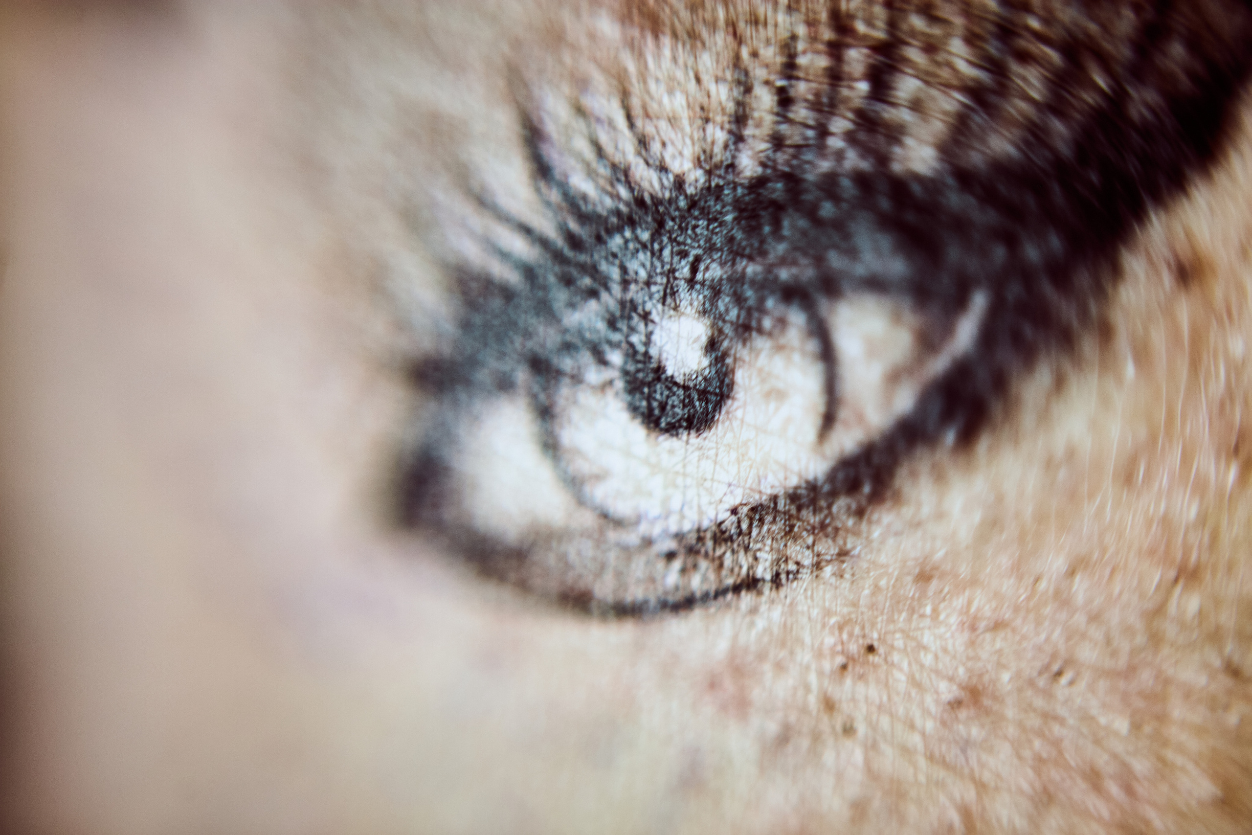 TATOO FEST A2 2022 _ D1/D2. Фотограф в Санкт-Петербурге Лазарев Евгений