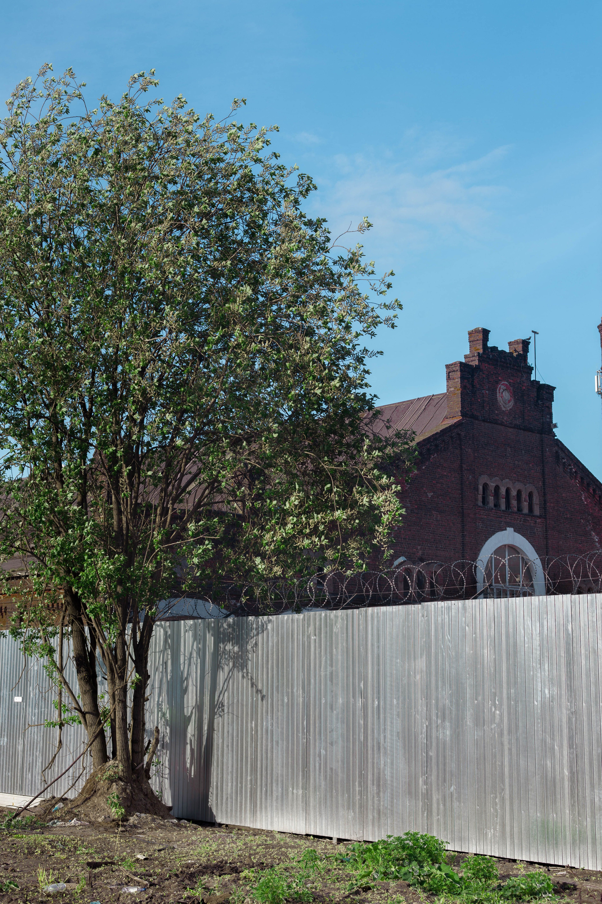 УЛИЧНАЯ ФОТОГРАФИЯ (АРХИВ). Фотограф в Санкт-Петербурге Лазарев Евгений