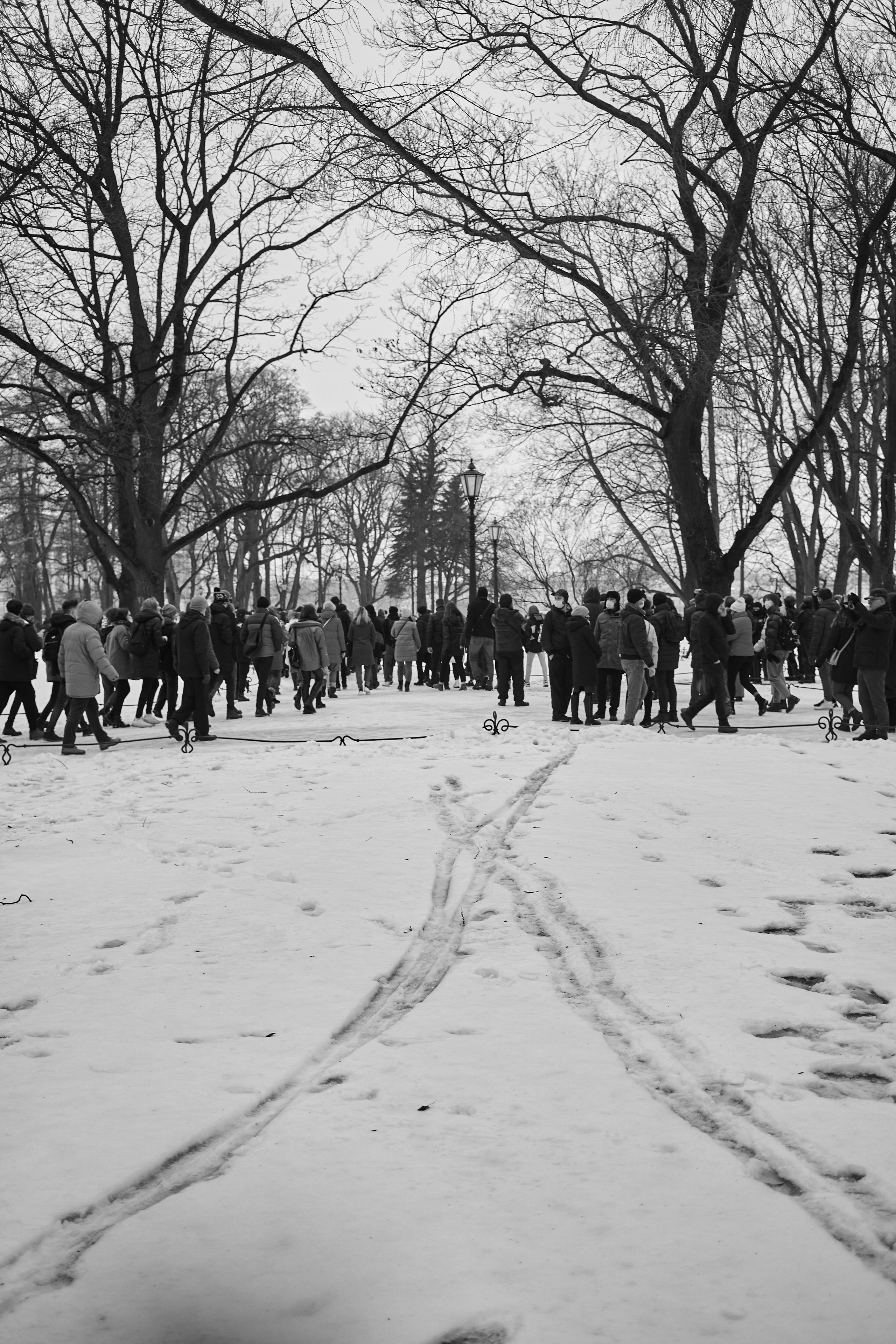 МИТИНГ. Фотограф в Санкт-Петербурге Лазарев Евгений