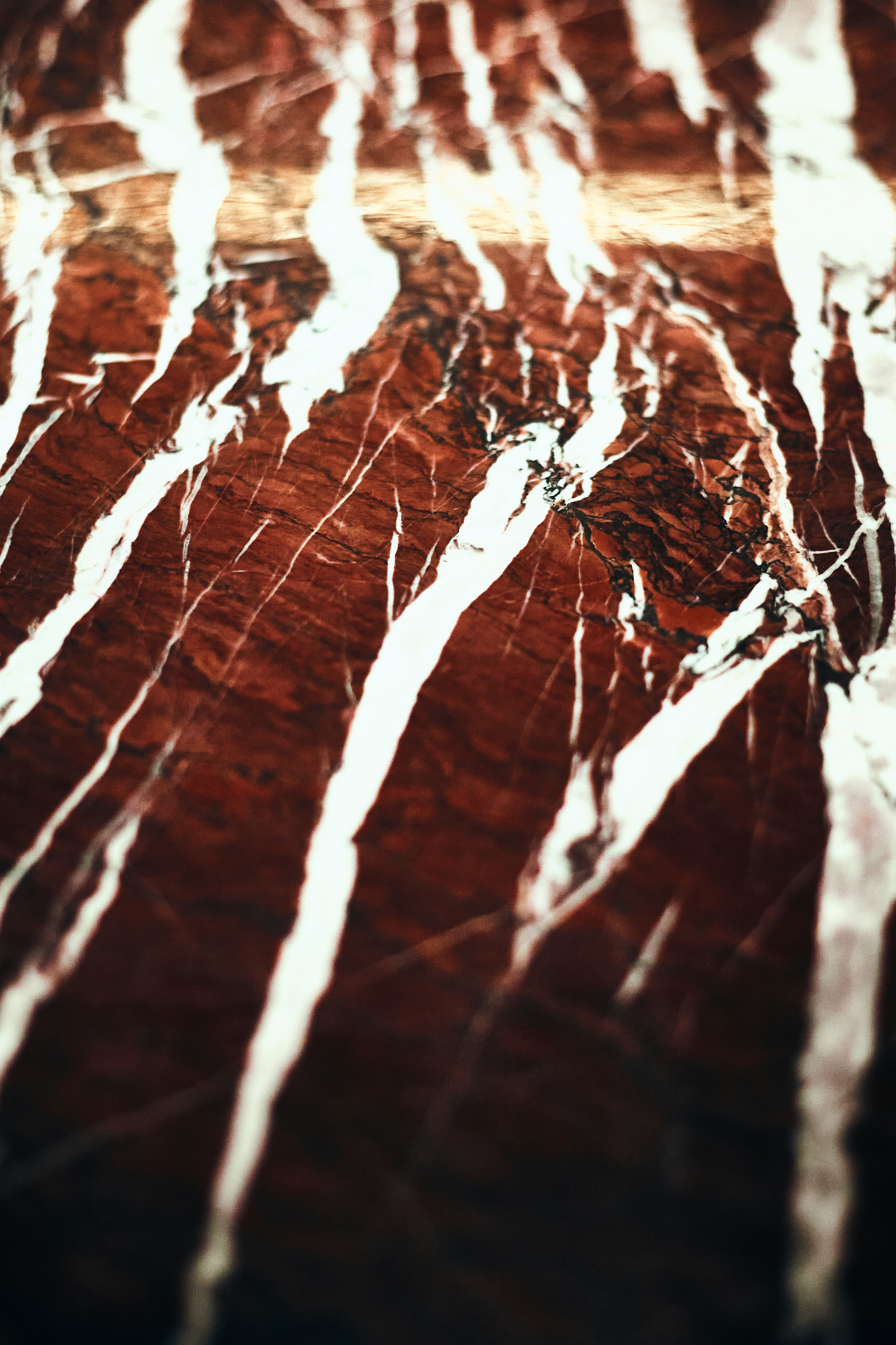 ANTE SEAFOOD. Фотограф в Санкт-Петербурге Лазарев Евгений