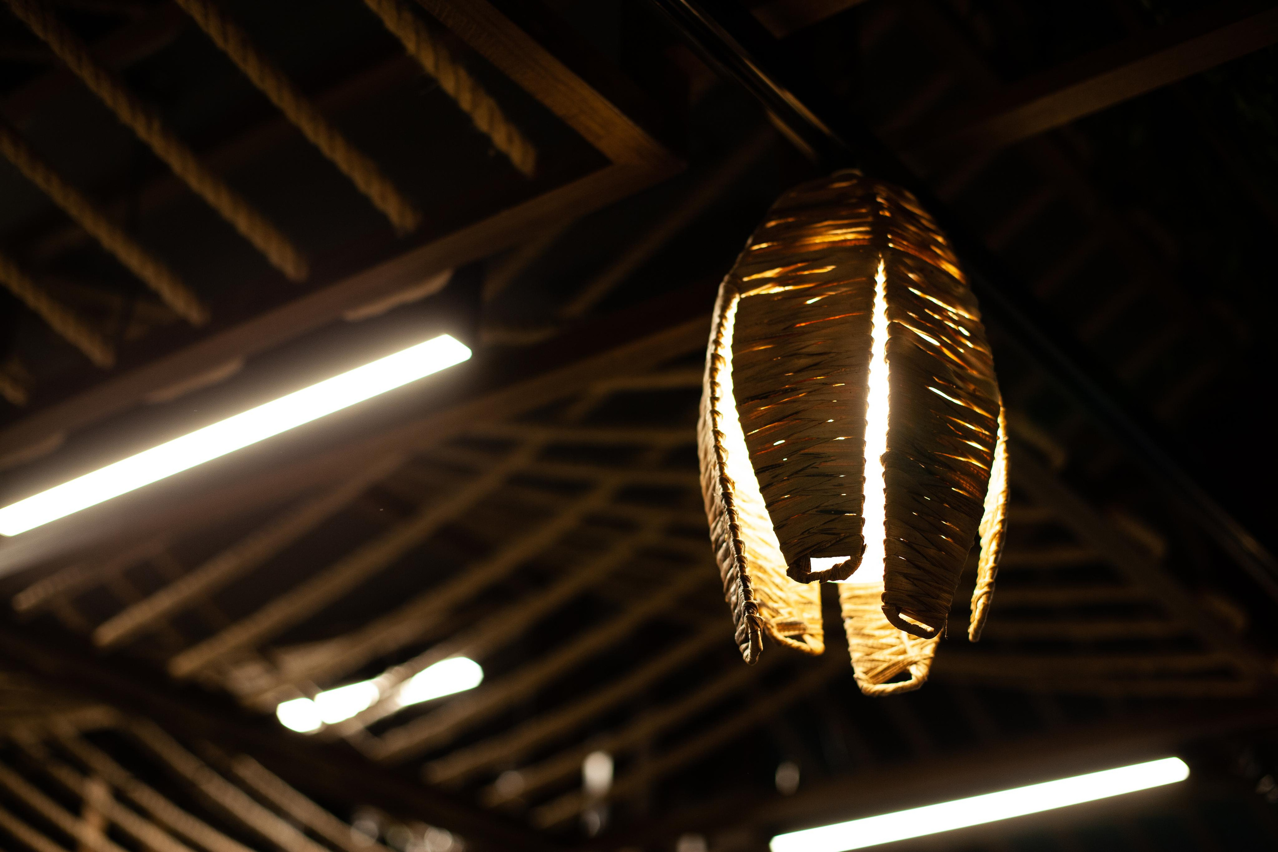 MAUI. Фотограф в Санкт-Петербурге Лазарев Евгений