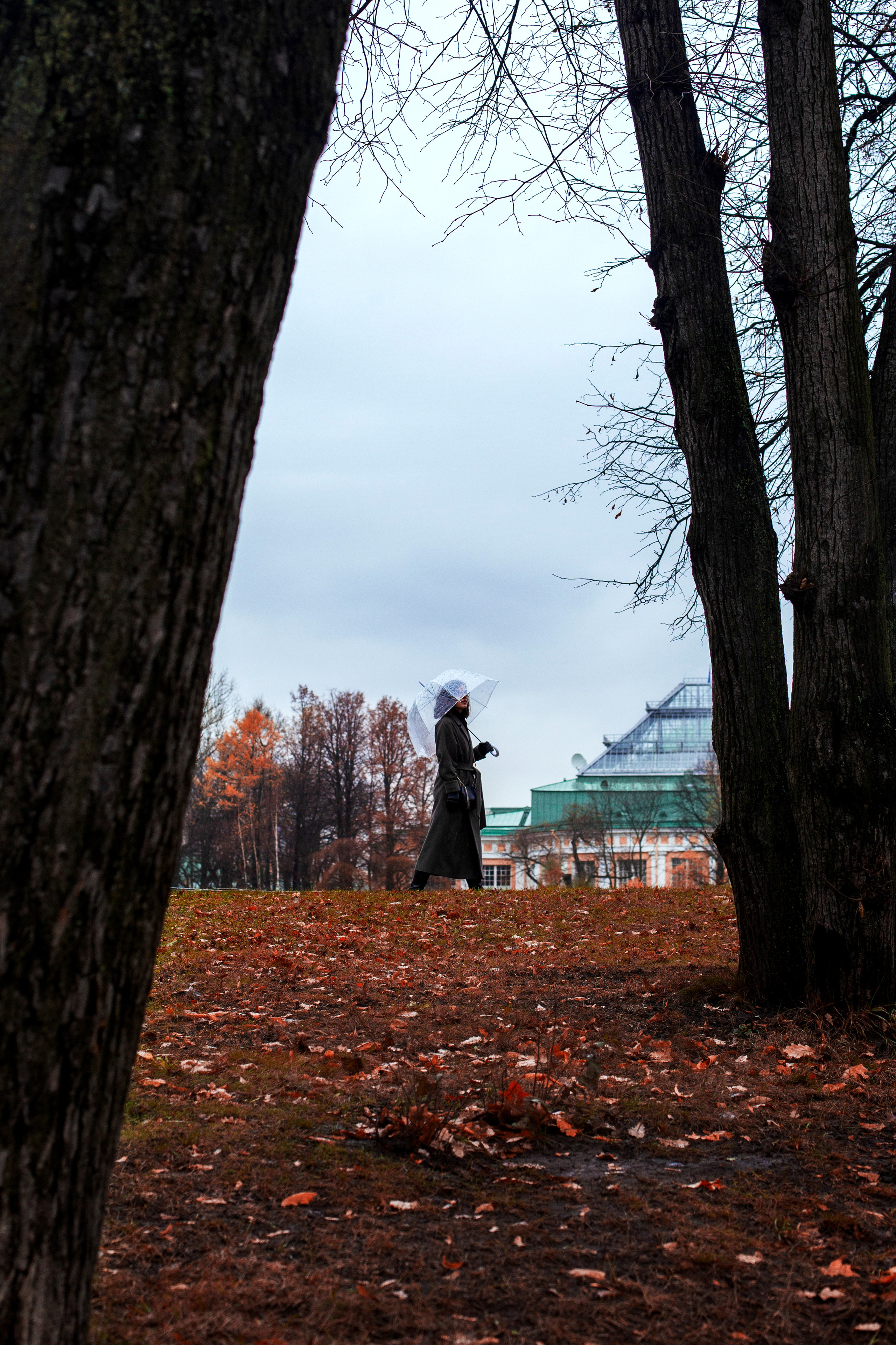 СТАСЯ ПОПОВА. Фотограф в Санкт-Петербурге Лазарев Евгений