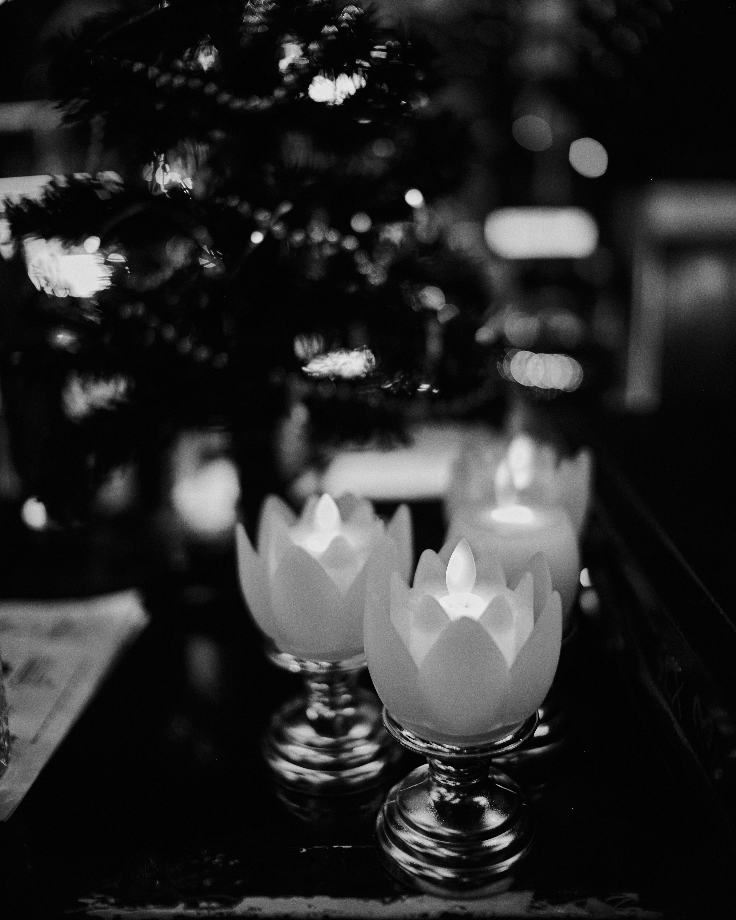 УГРЮМОЧНАЯ. Фотограф в Санкт-Петербурге Лазарев Евгений