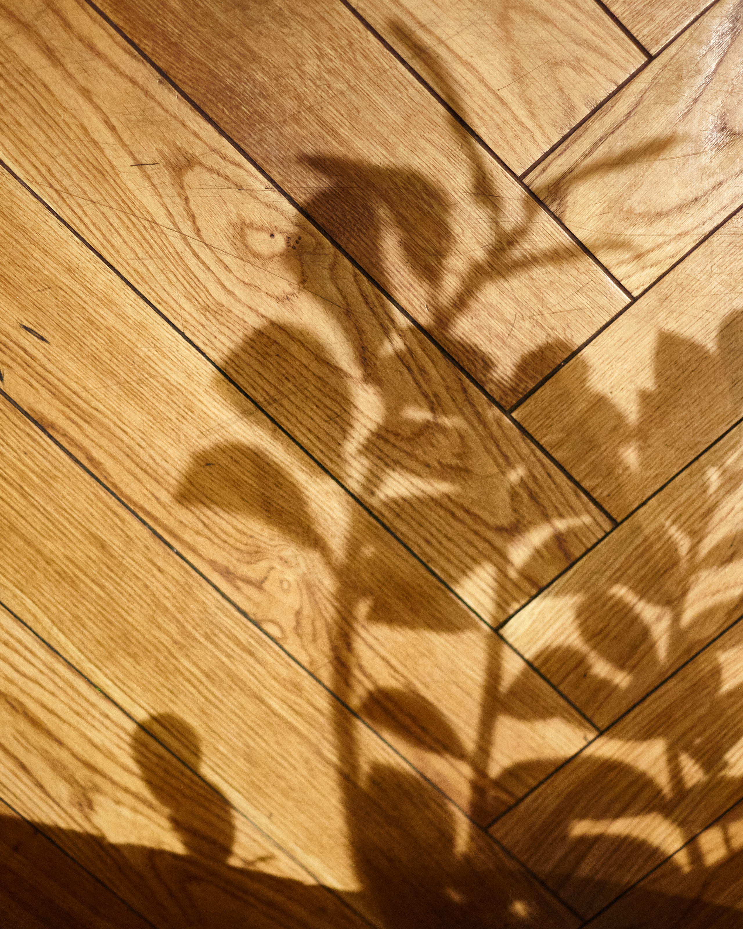 DEAD POETS. Фотограф в Санкт-Петербурге Лазарев Евгений