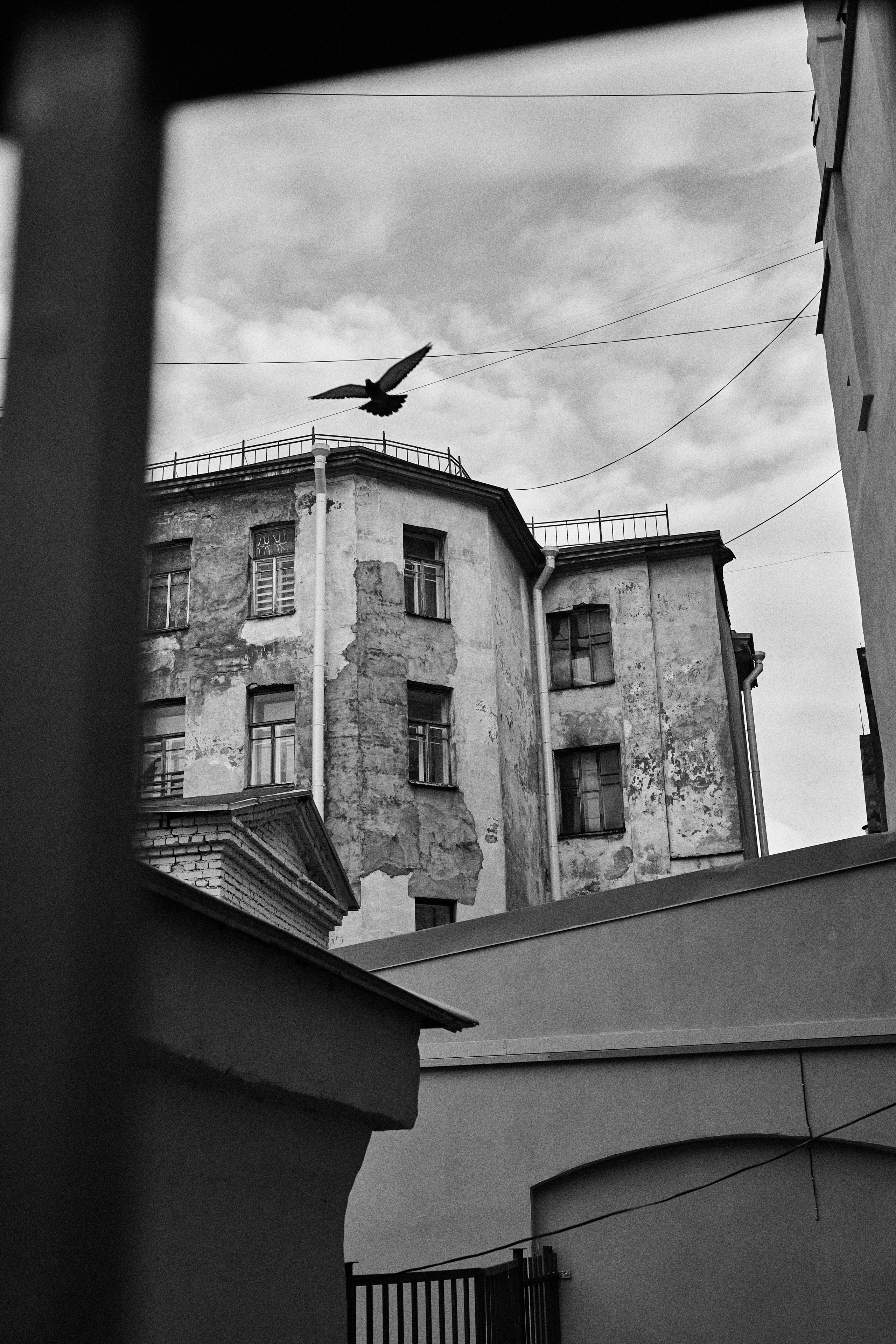 20.09 РАЙОН ВЛАДИМЕРСКИЙ. Фотограф в Санкт-Петербурге Лазарев Евгений