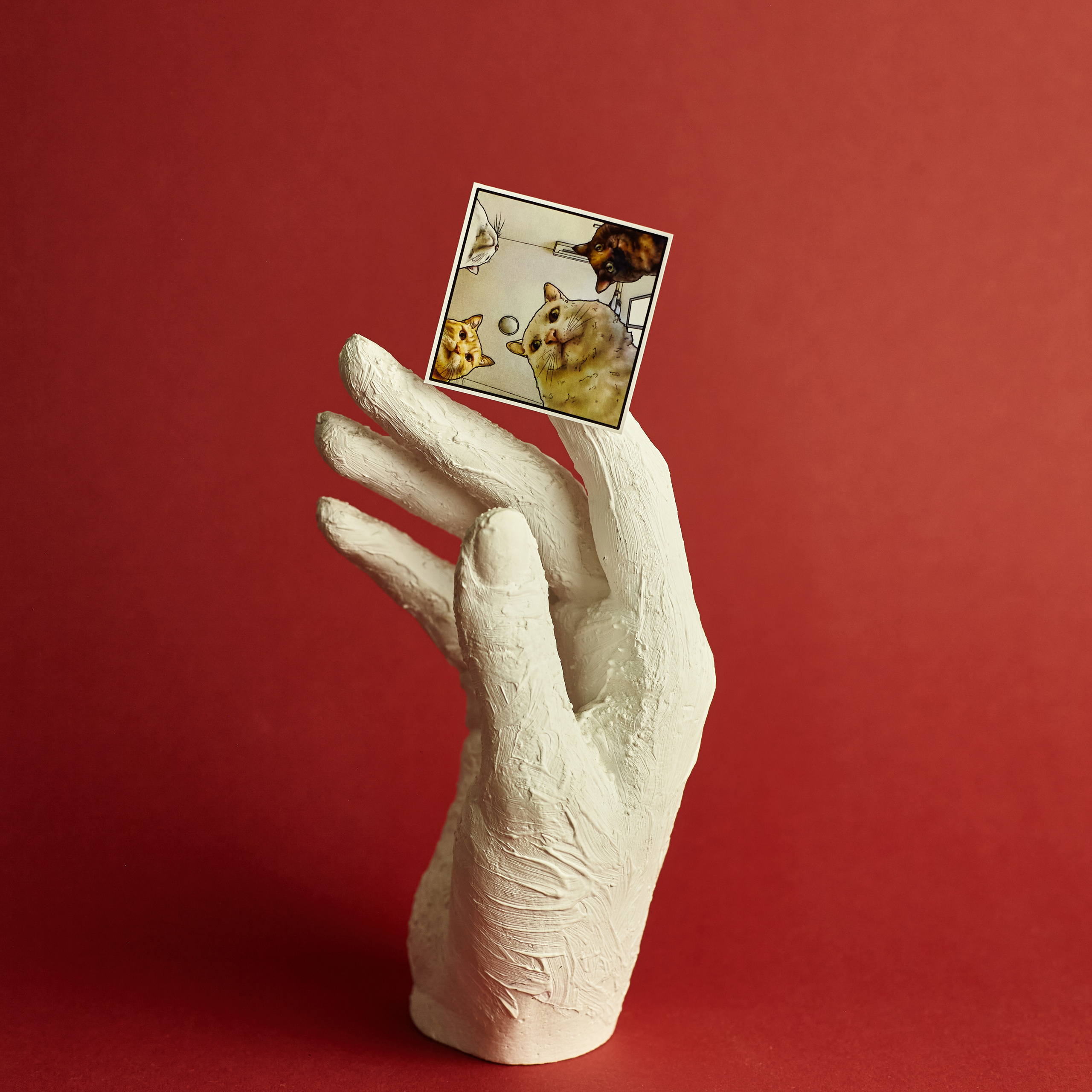 СТИКЕРЫ. Фотограф в Санкт-Петербурге Лазарев Евгений