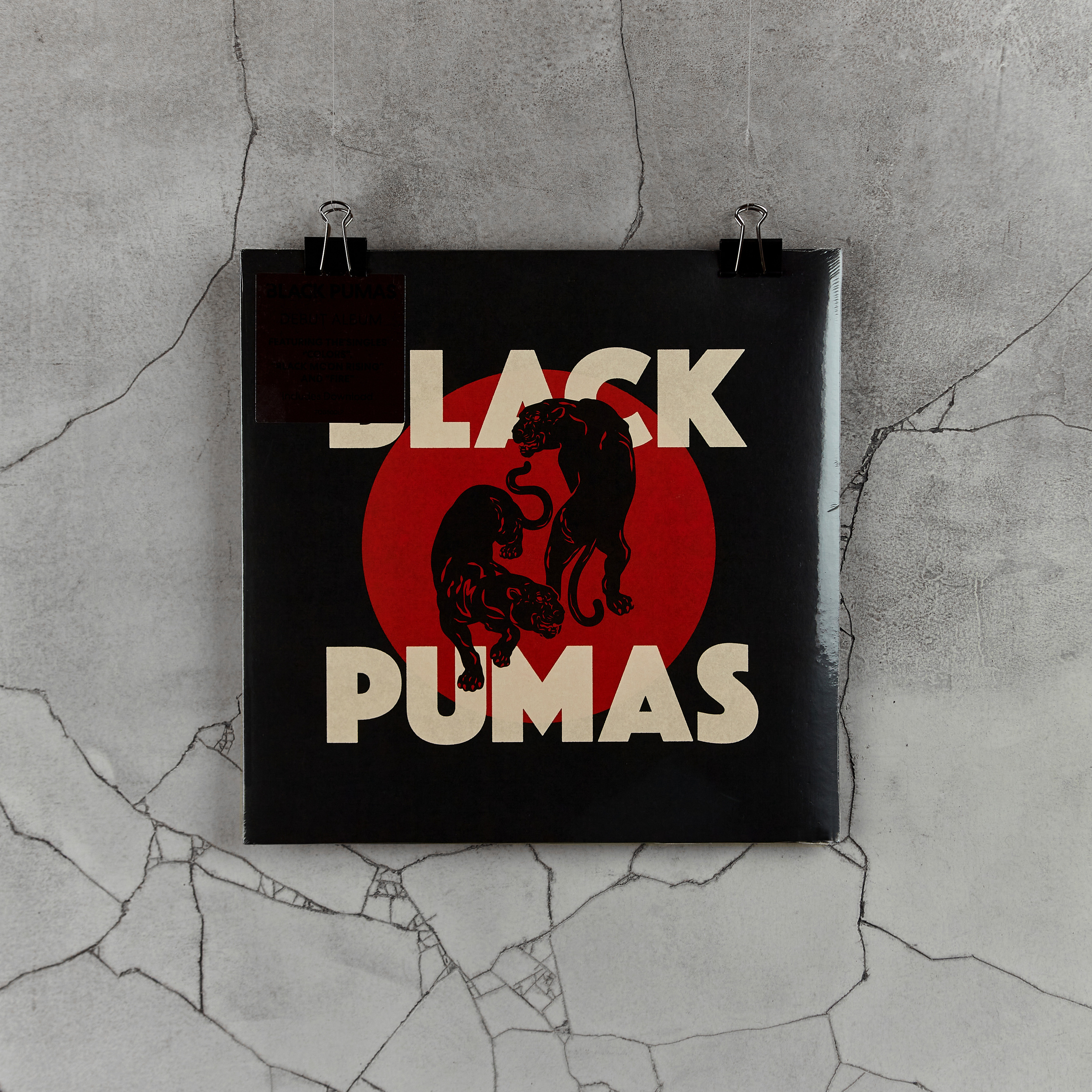 ВИНИЛОВЫЕ ПЛАСТИНКИ. Фотограф в Санкт-Петербурге Лазарев Евгений