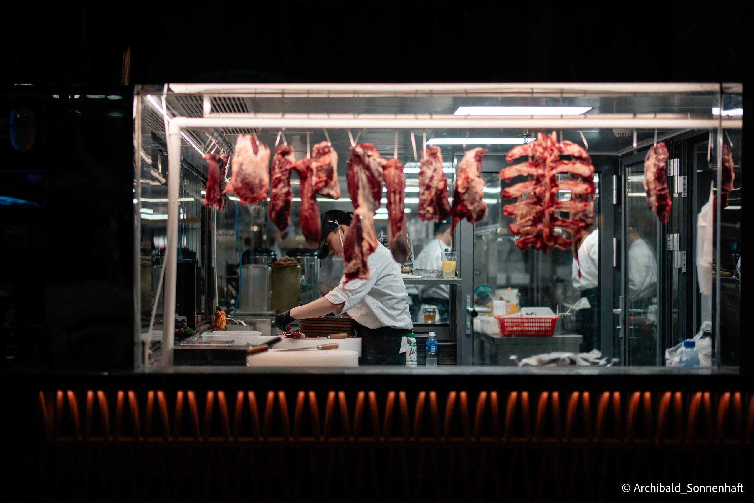 Cat, squirrel, japanese food and stand-up. Photographer in Guangzhou, China. Archibald Sonnenhaft