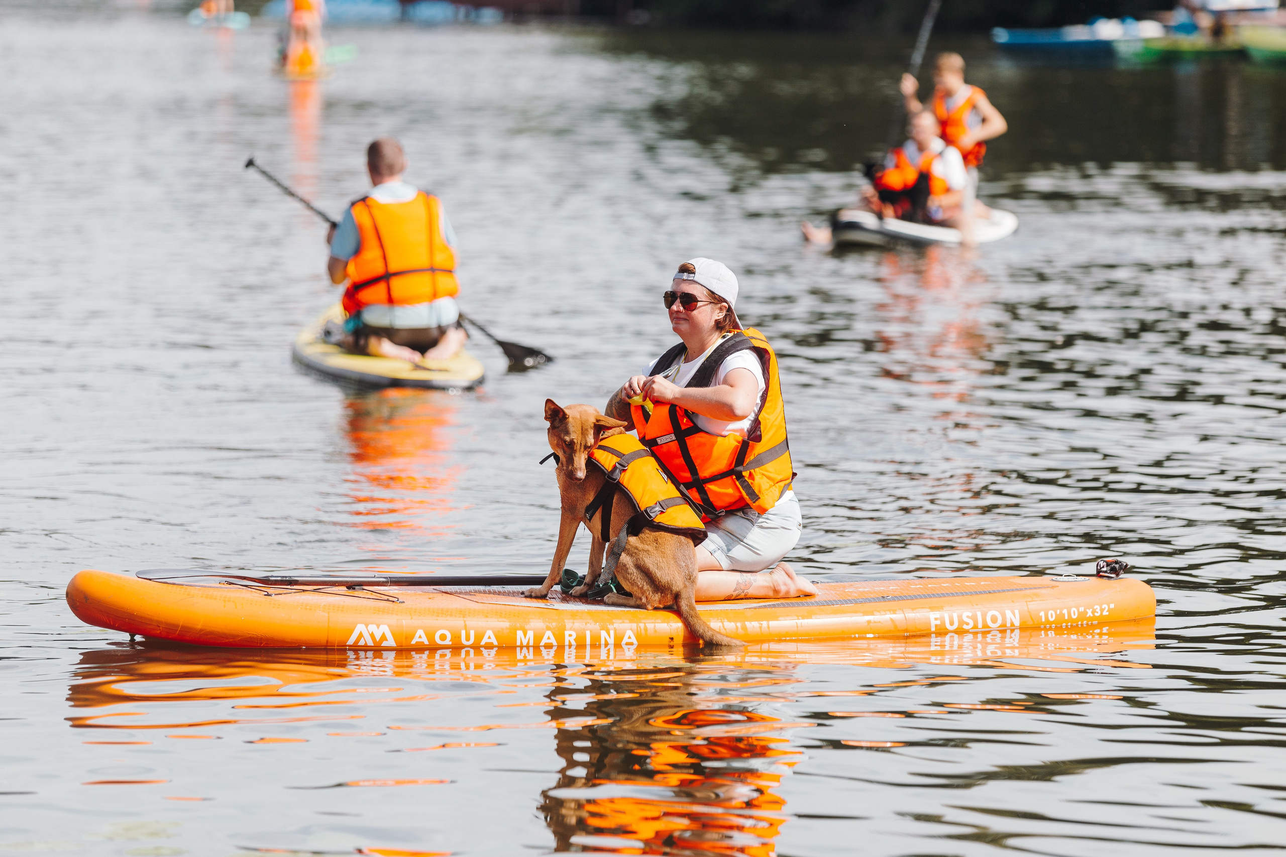 Petshop Sup day. Фотограф анималист Кристина Карпова, Москва