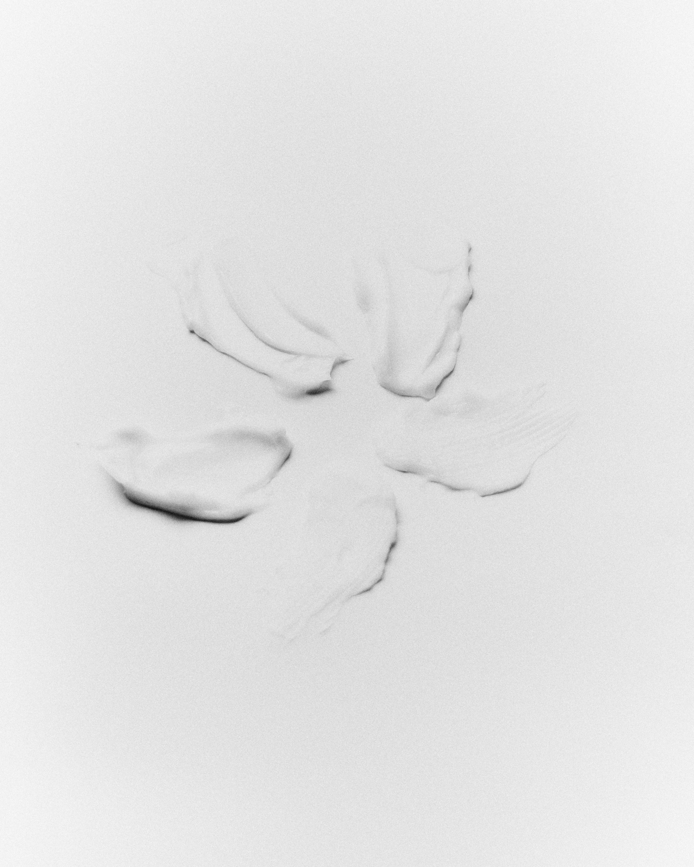 Для брендов. Главная