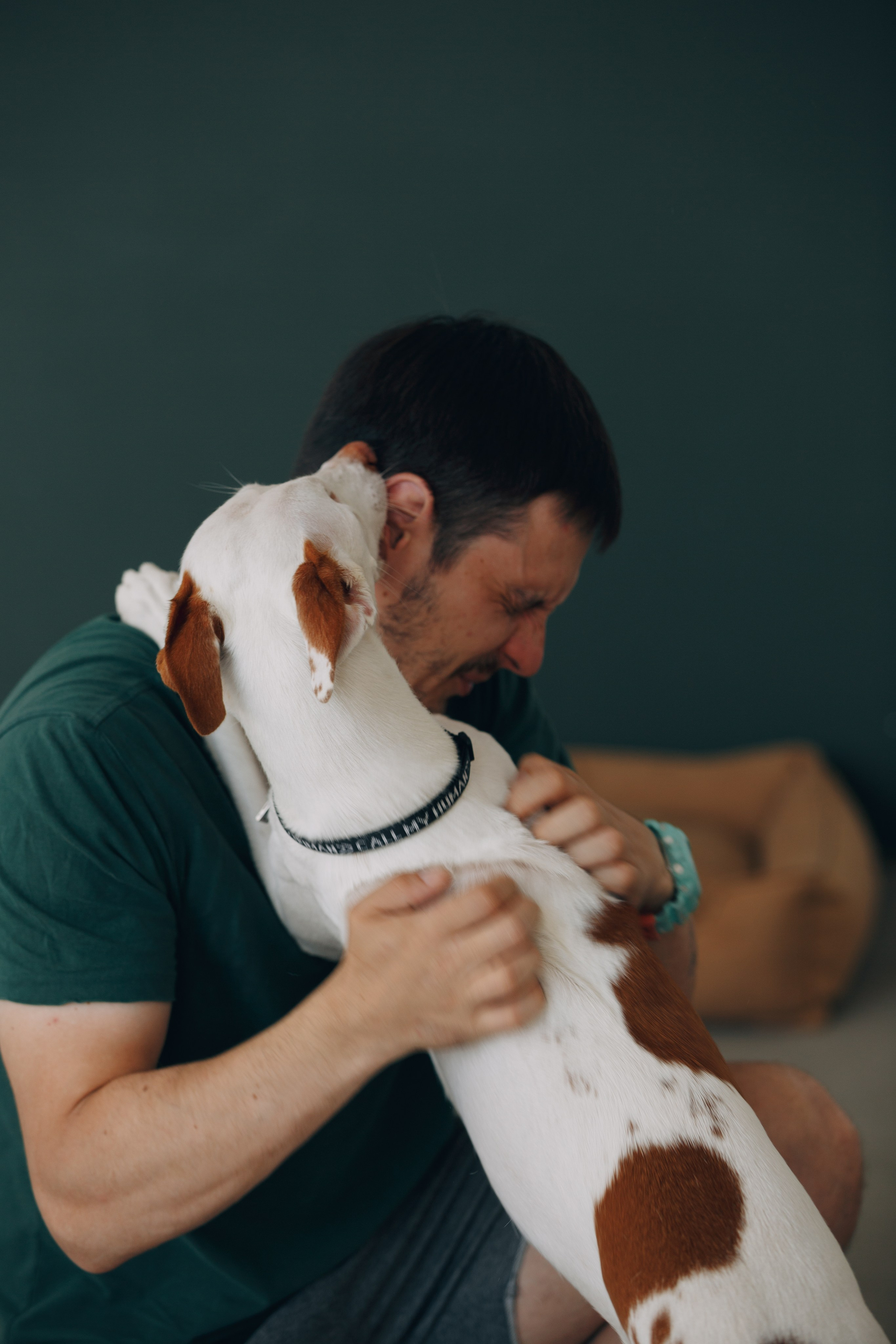 Boonwood Pets лежанки для животных. Фотограф анималист Кристина Карпова, Москва