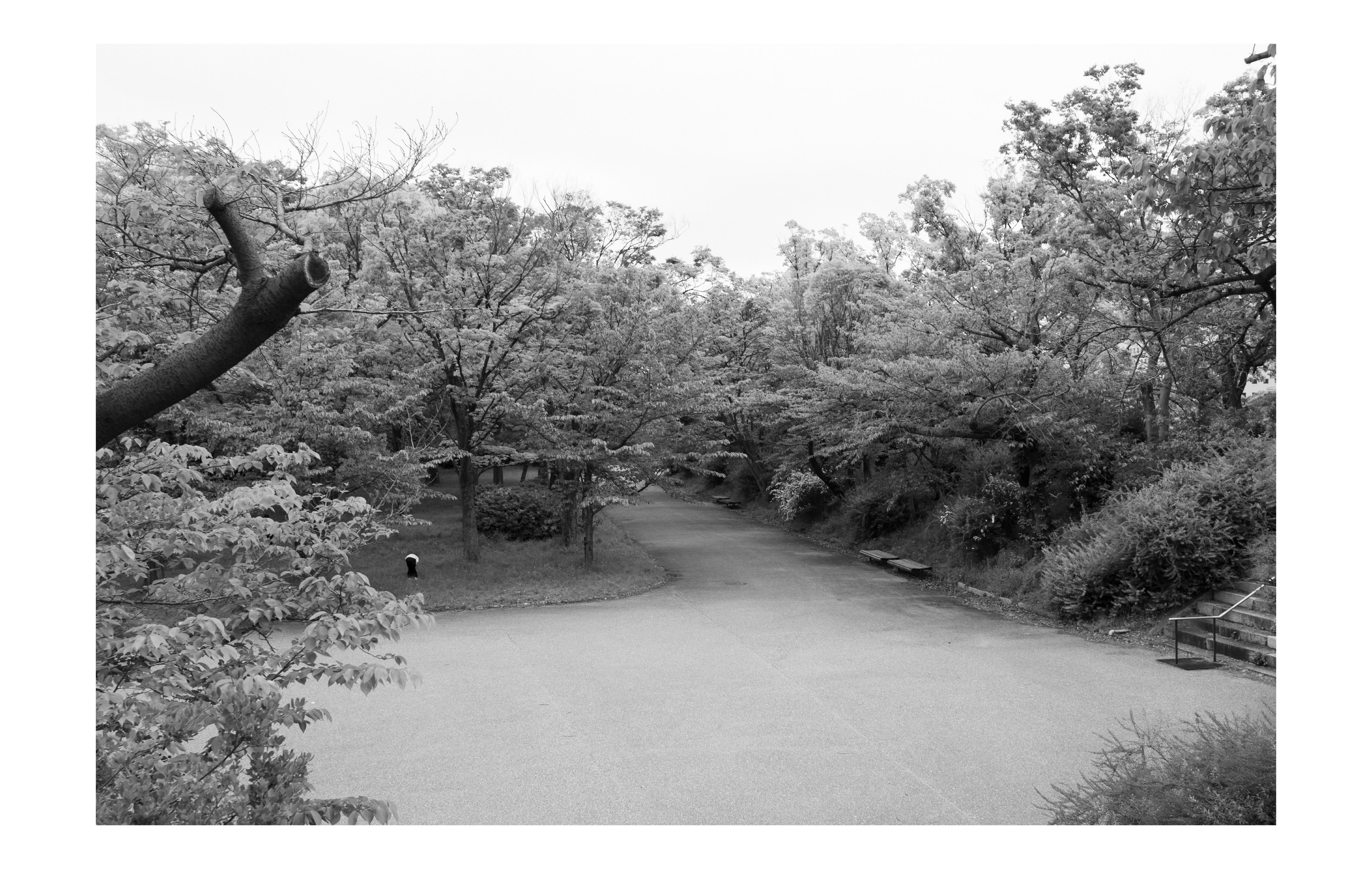 Япония. Фотографии Руслана Сайдалиева (Рус Сай)