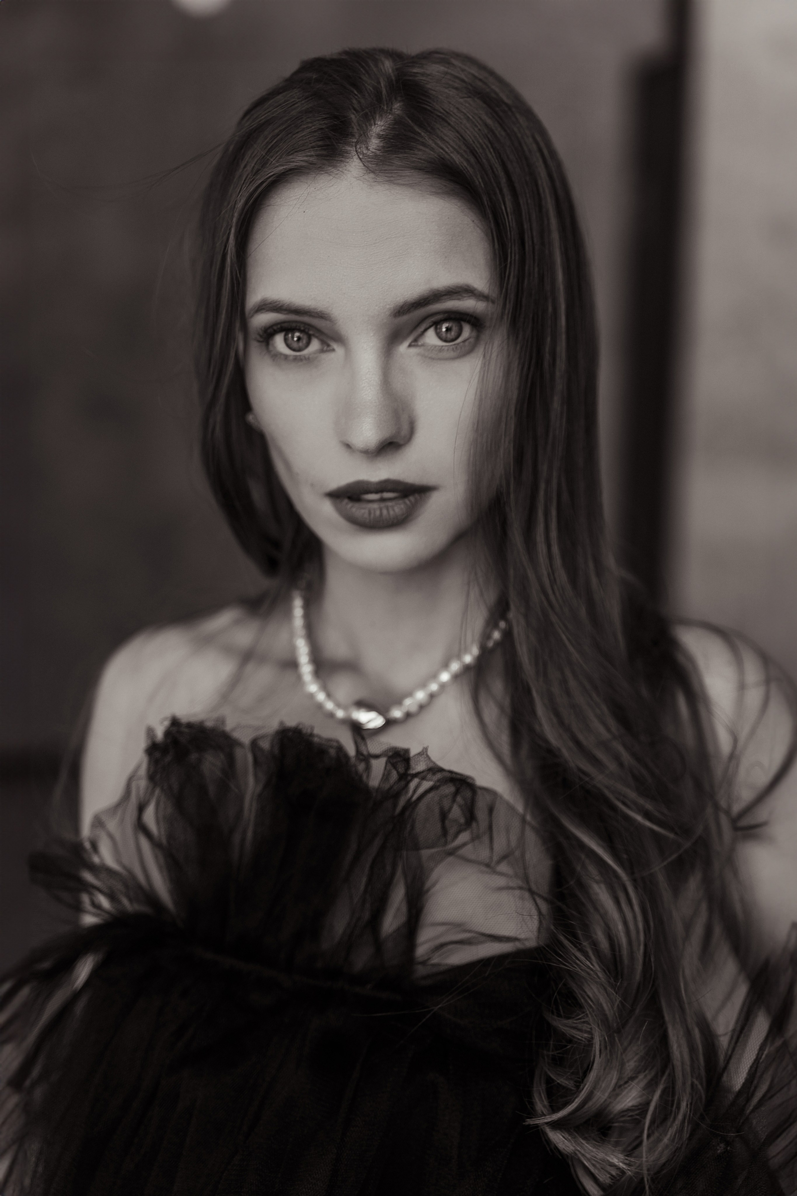 Черный лебедь. Фотограф Тимофеева Любовь