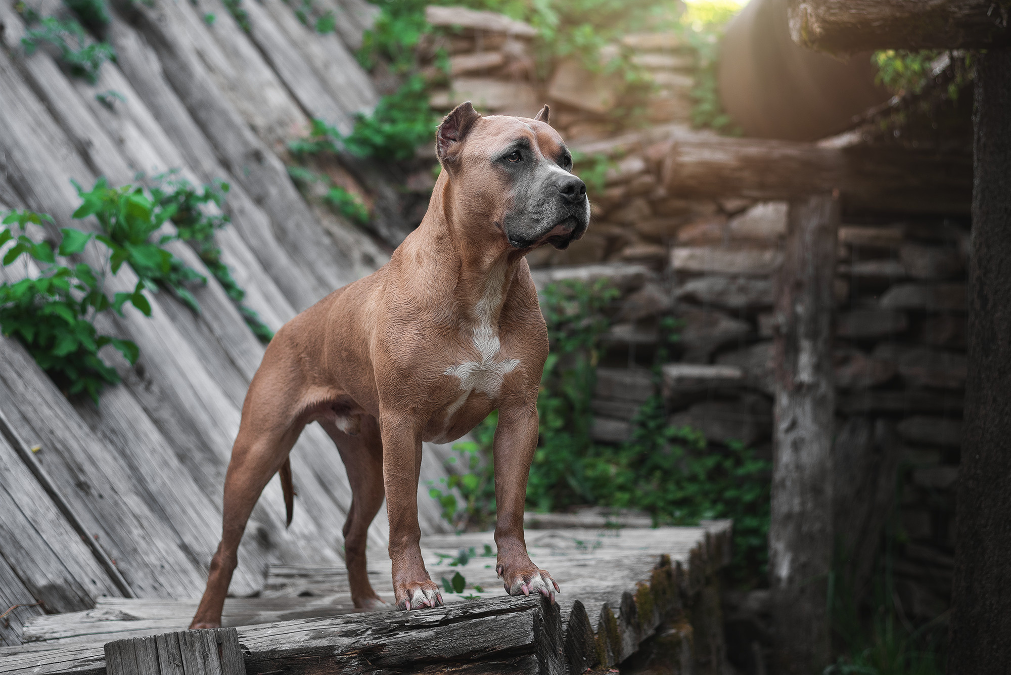 Фотограф-анималист Крутиков Евгений