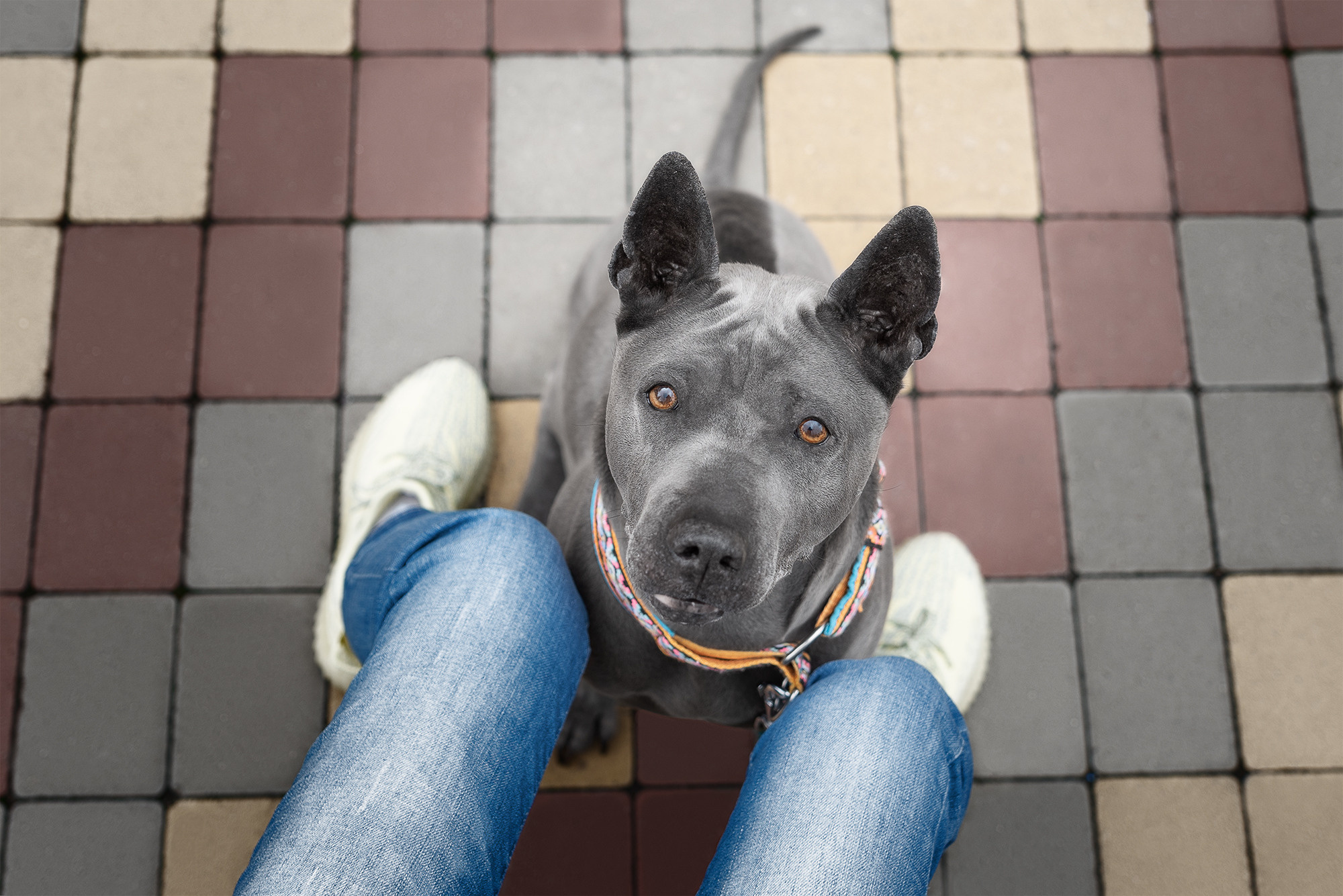 Татьяна и Юна. Фотограф-анималист Крутиков Евгений