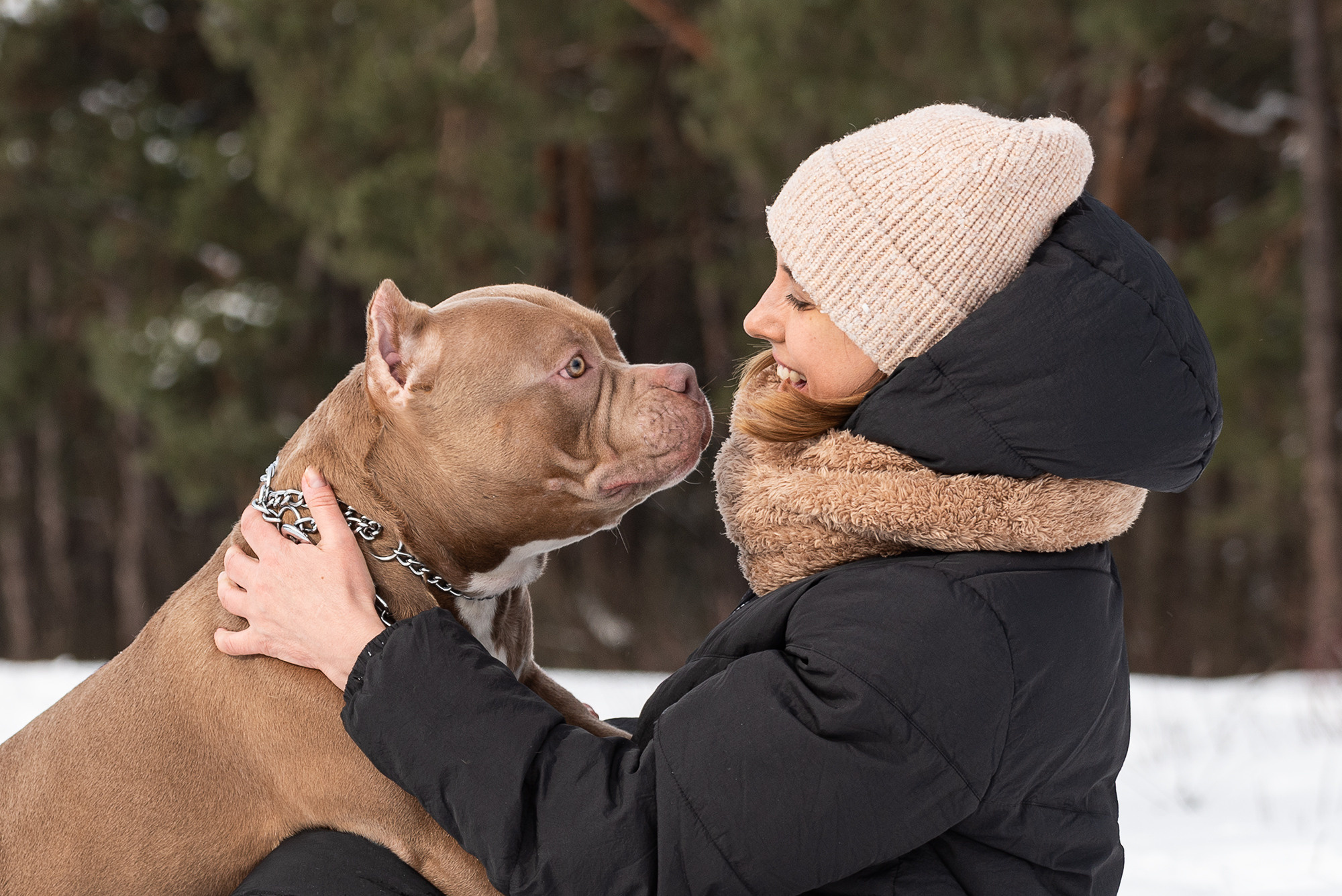 Семья Чернышевых и их замечательные питомцы. Фотограф-анималист Крутиков Евгений